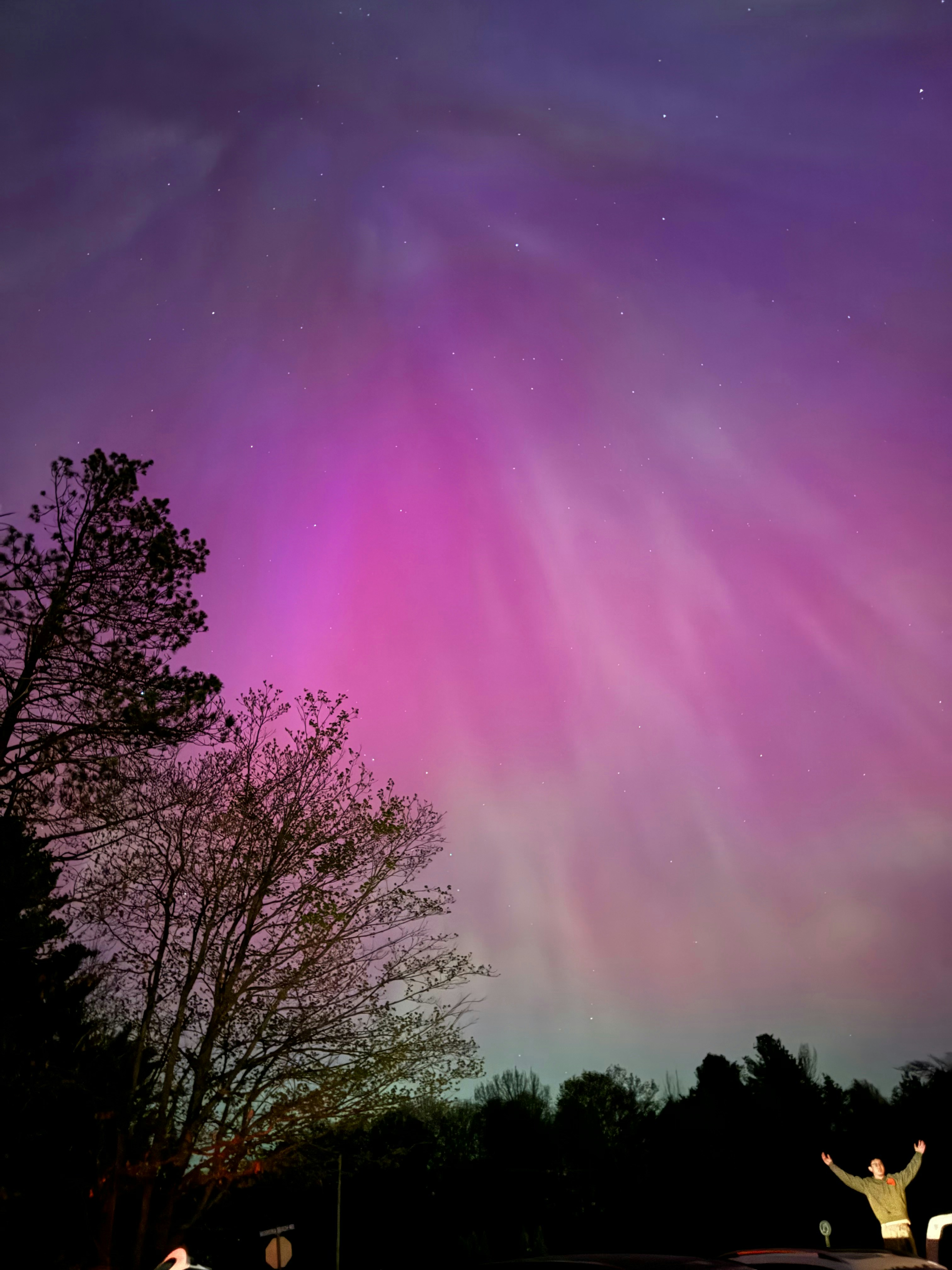 Photo by boxuanzhang