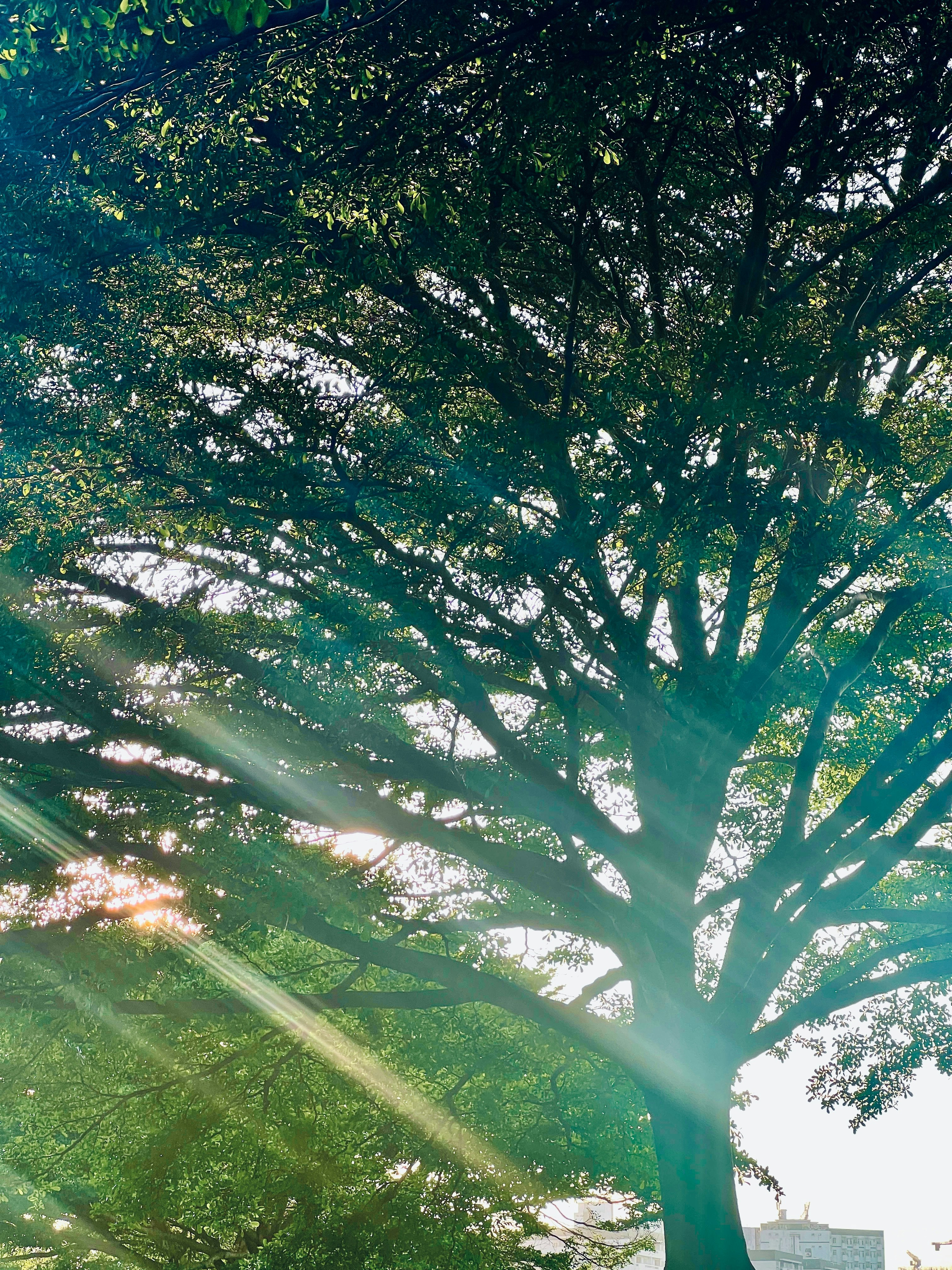 Photo by thanhliem178