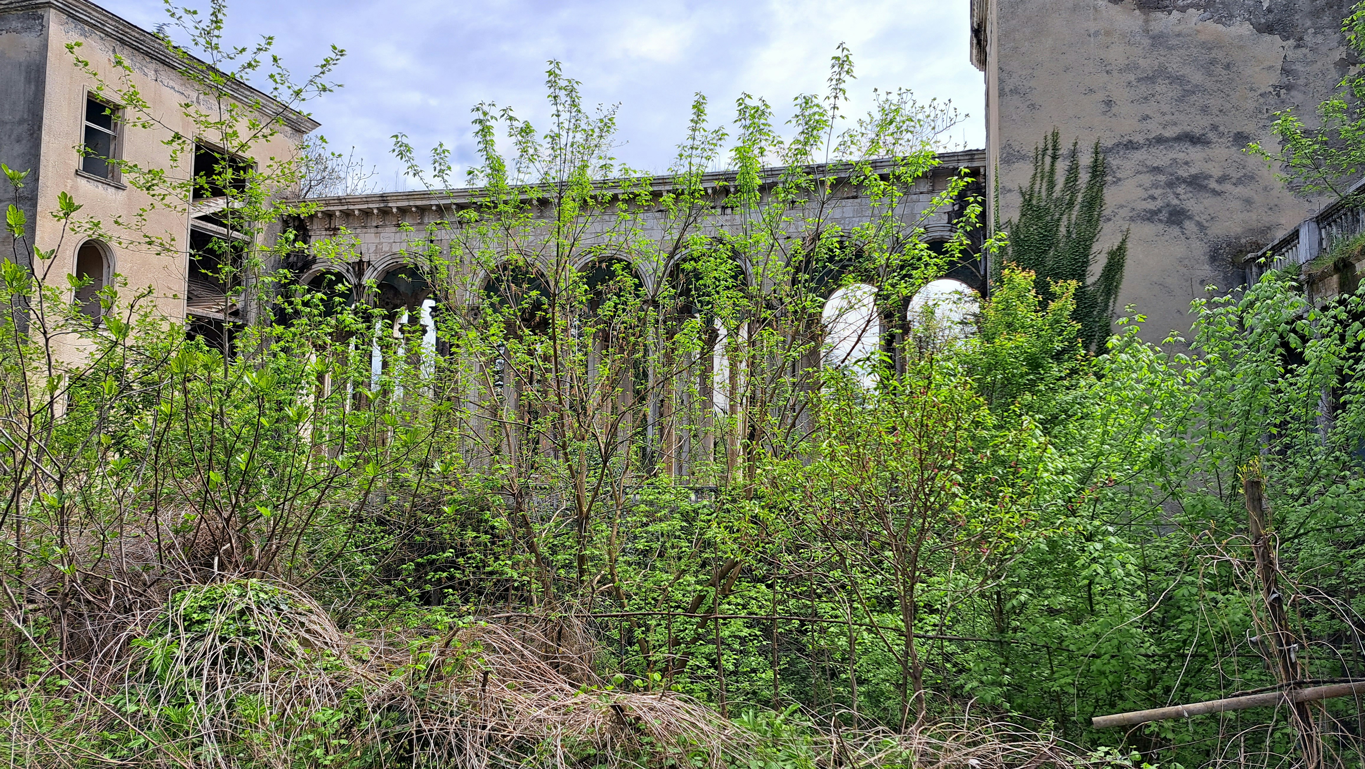 An abandoned building with overgrown vegetation in front of it