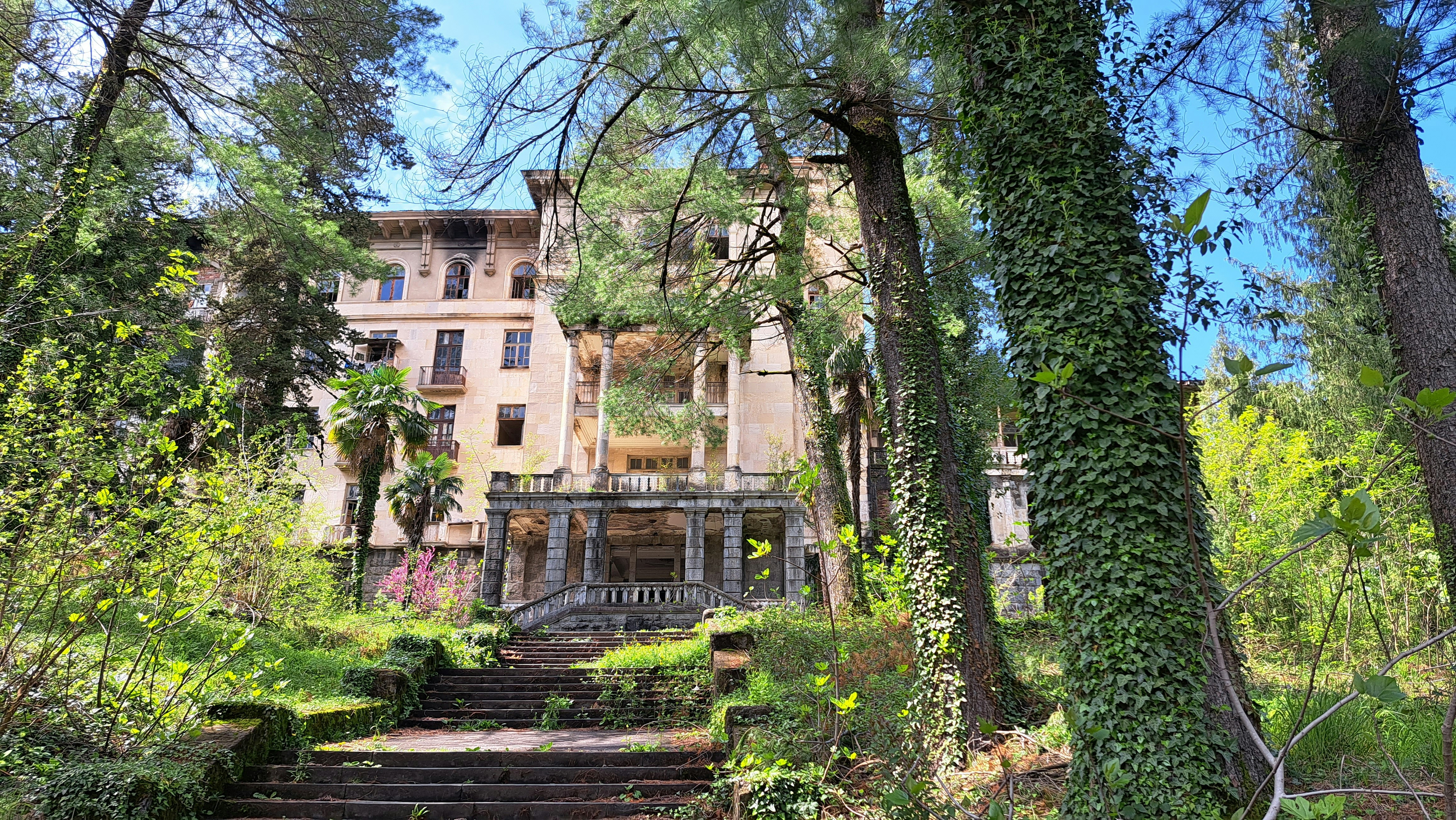 A large building in the middle of a forest