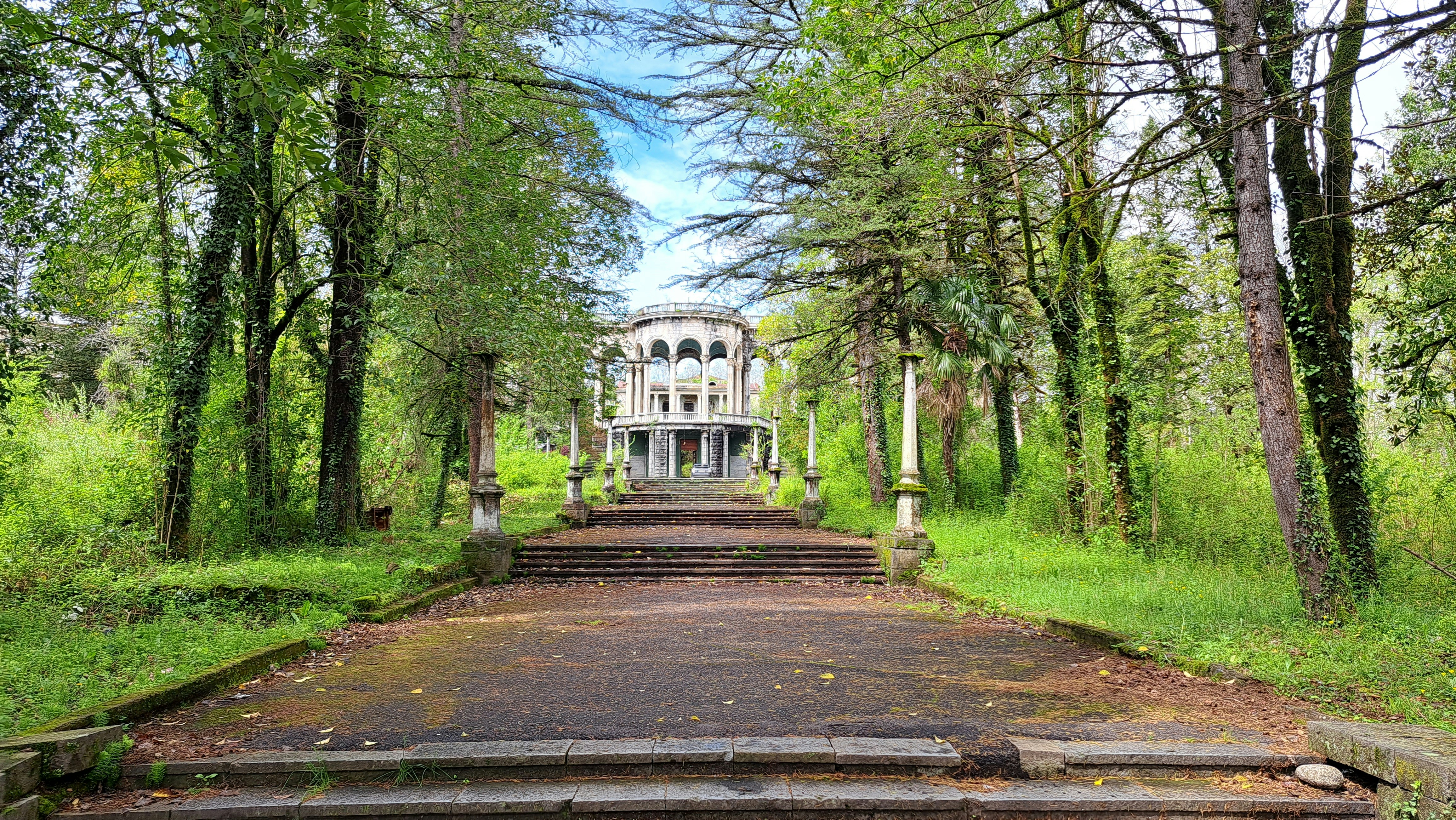 An old house in the middle of a forest