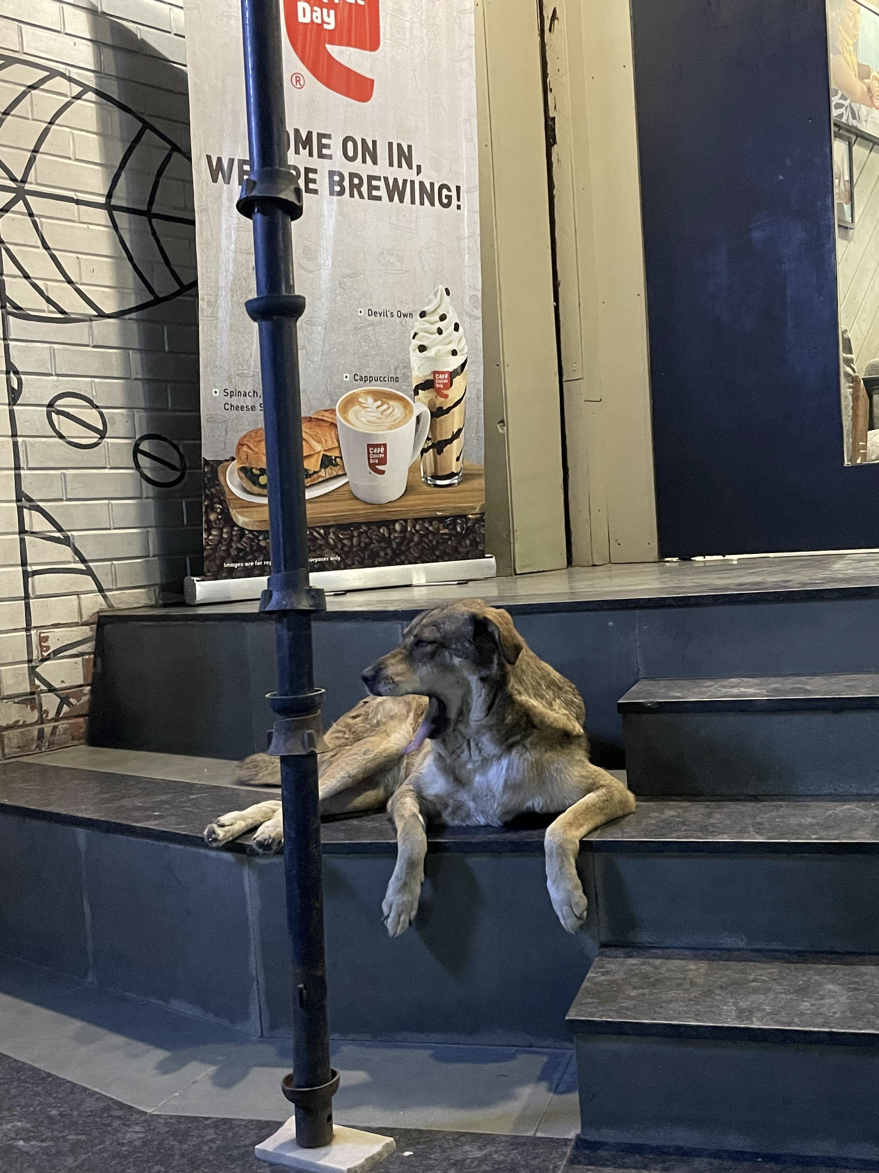 Zombie Dogz Restaurant Menu