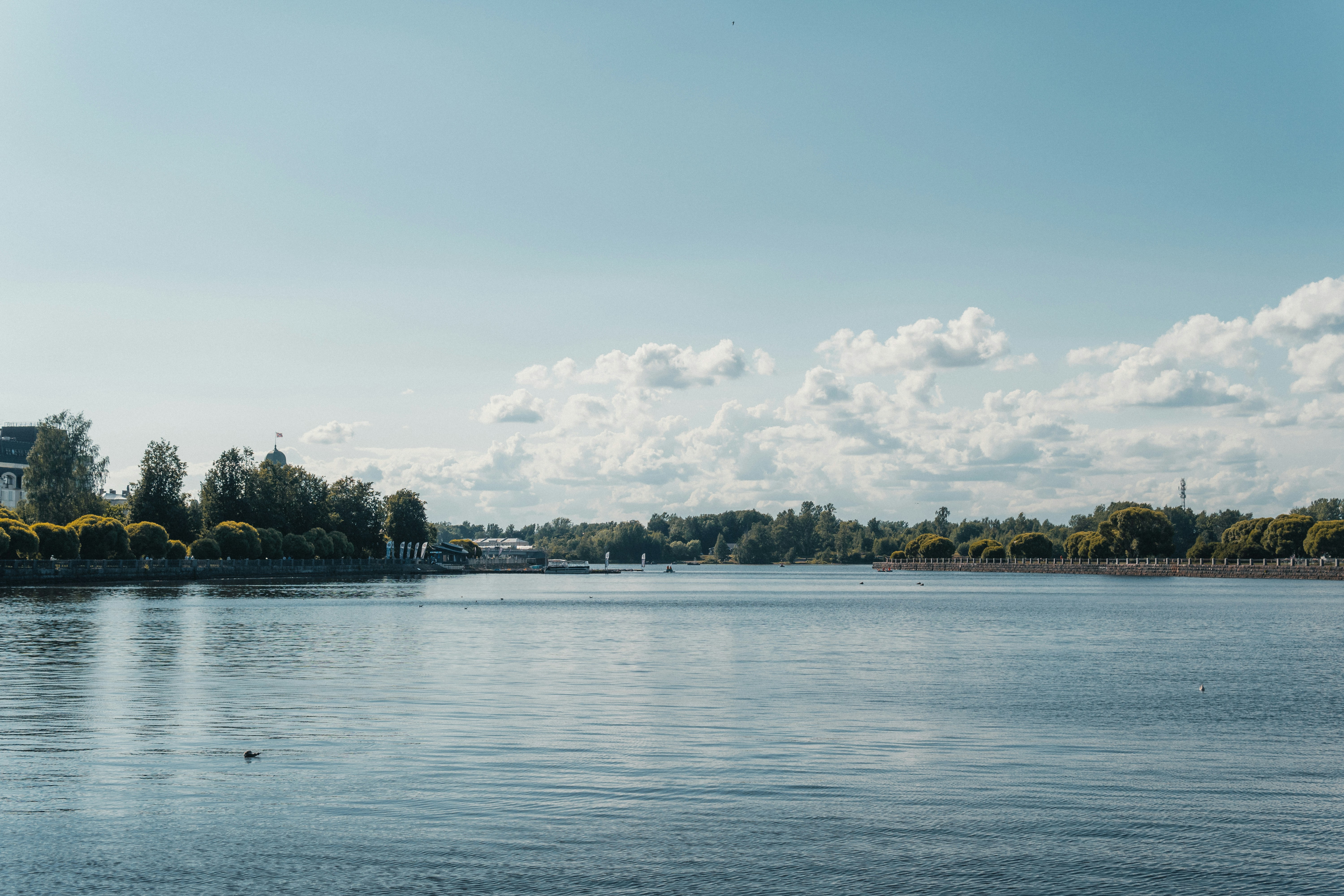 A large body of water surrounded by trees