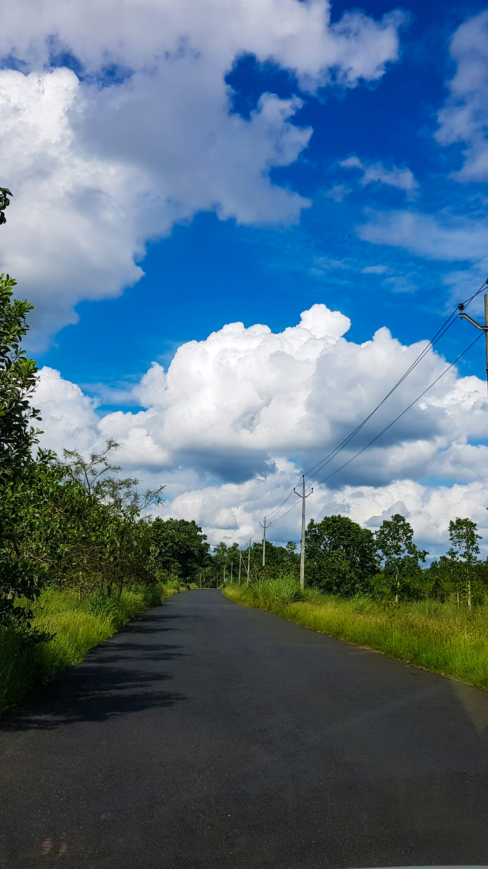 Photo by manjuvishnu