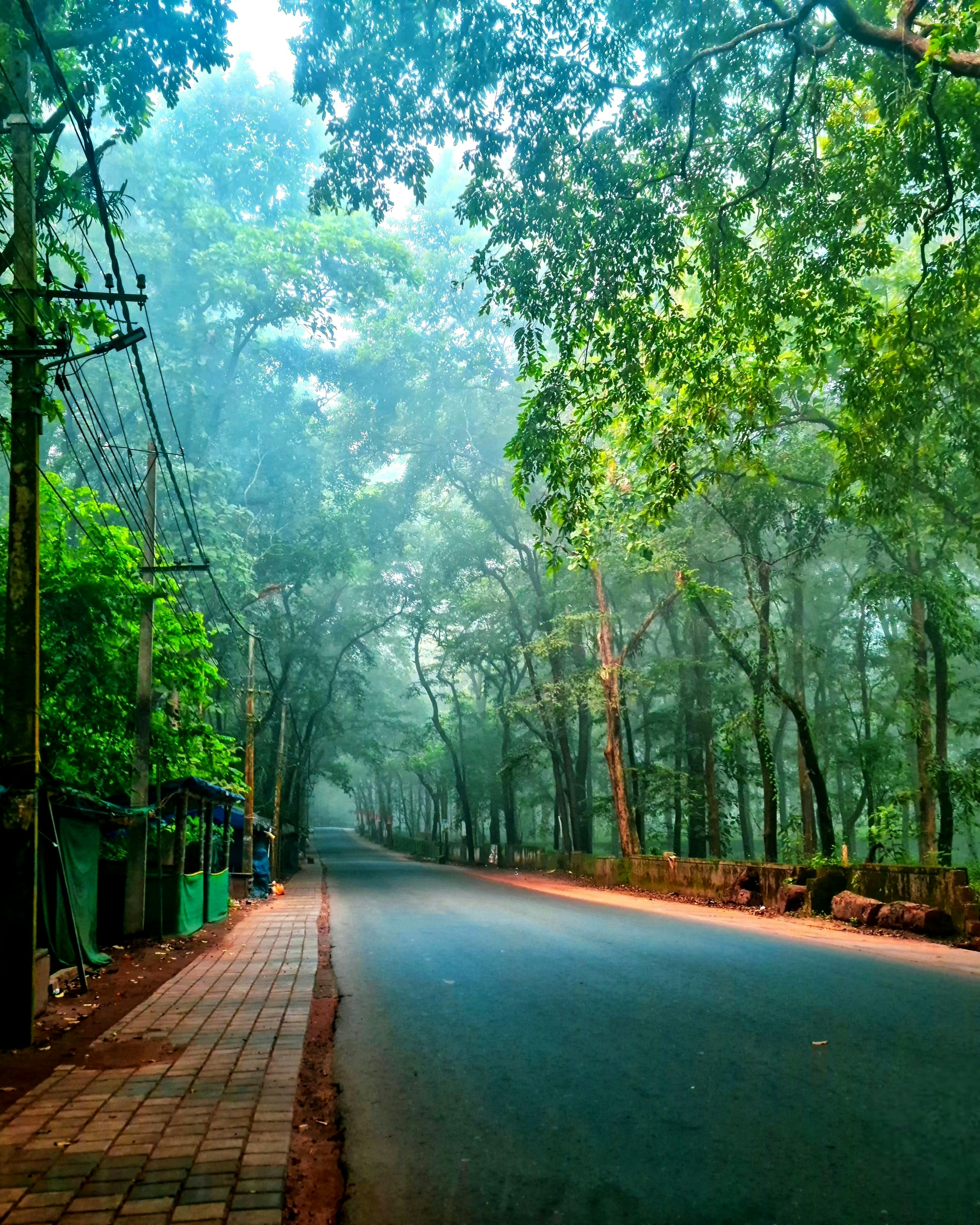 Photo by manjuvishnu