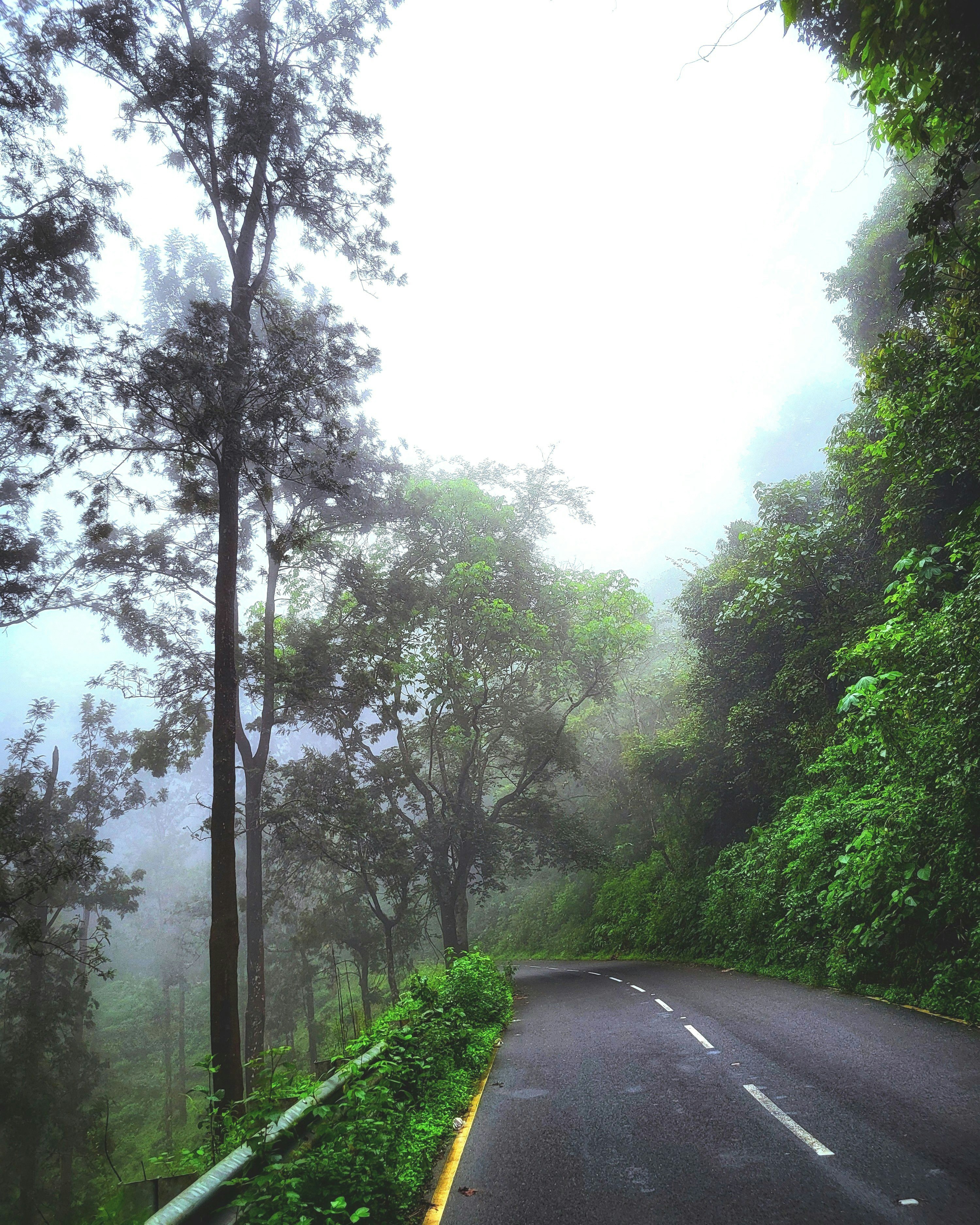 Photo by manjuvishnu