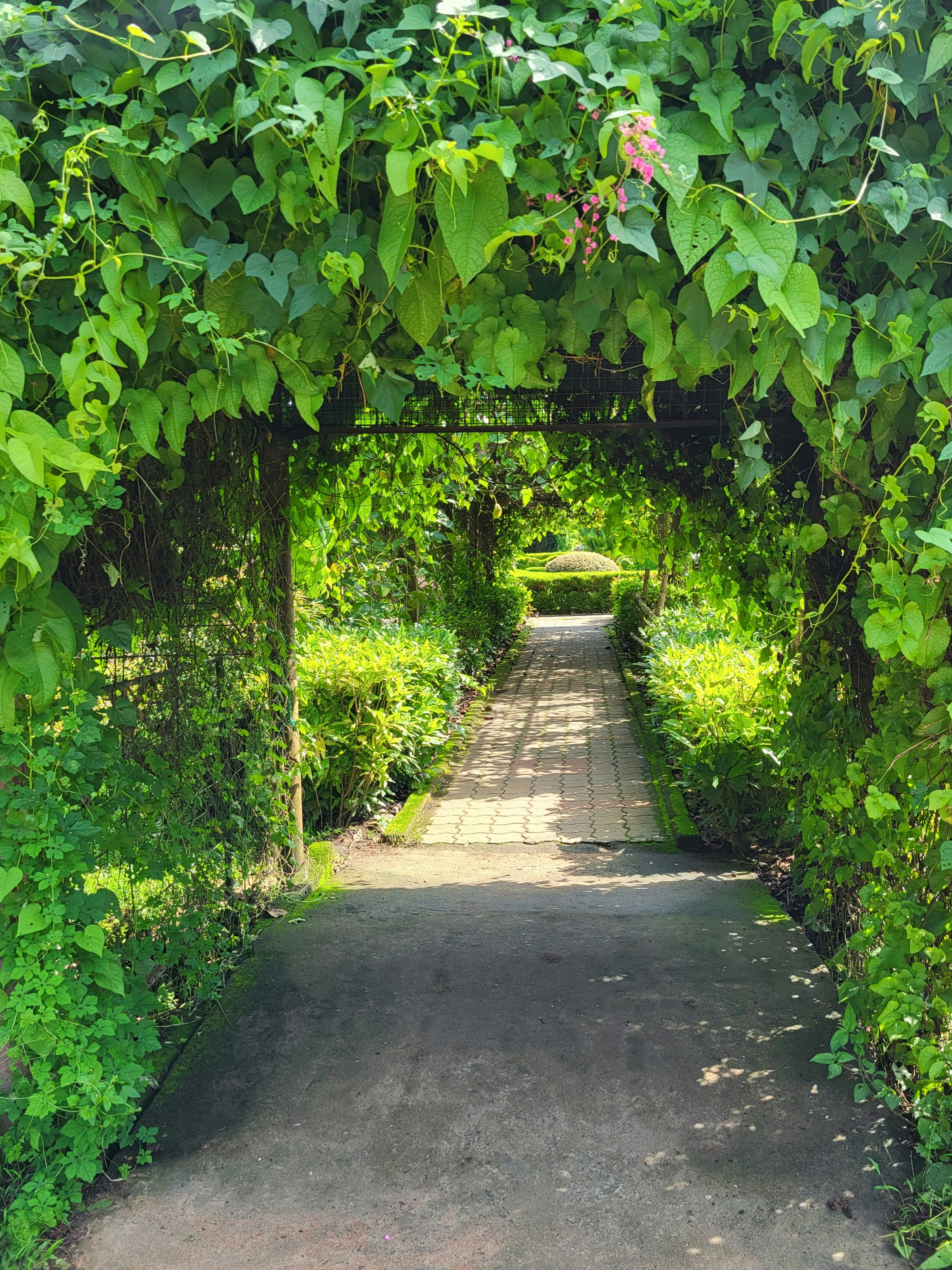 Photo by manjuvishnu