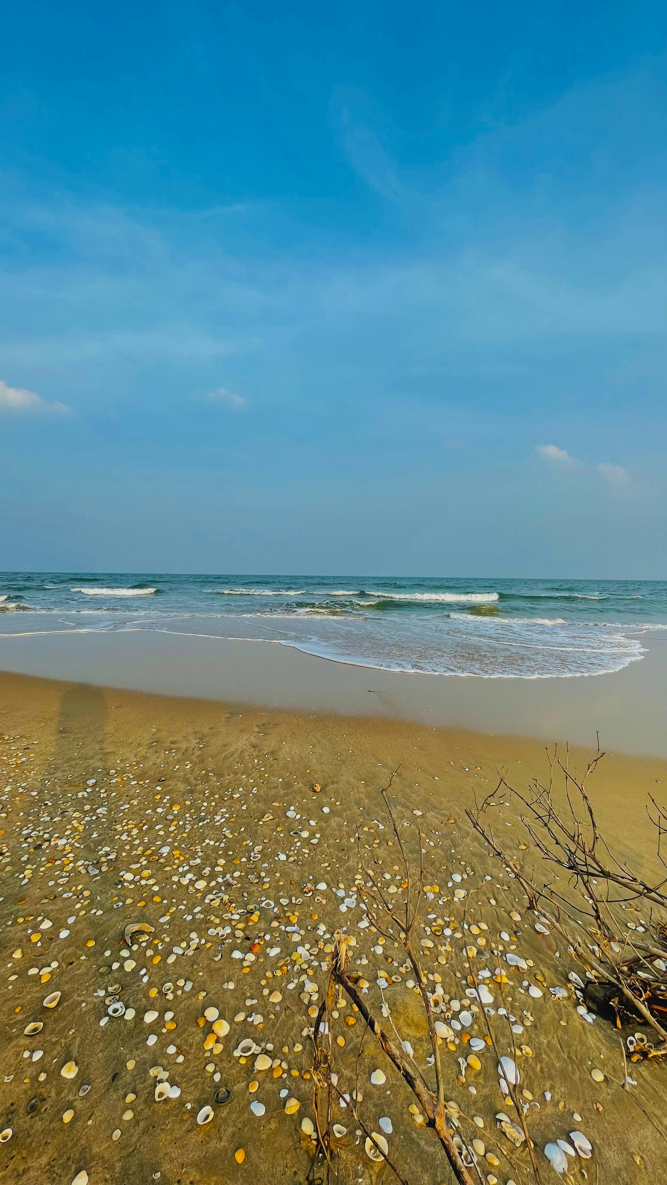 Photo by yaswanth3
