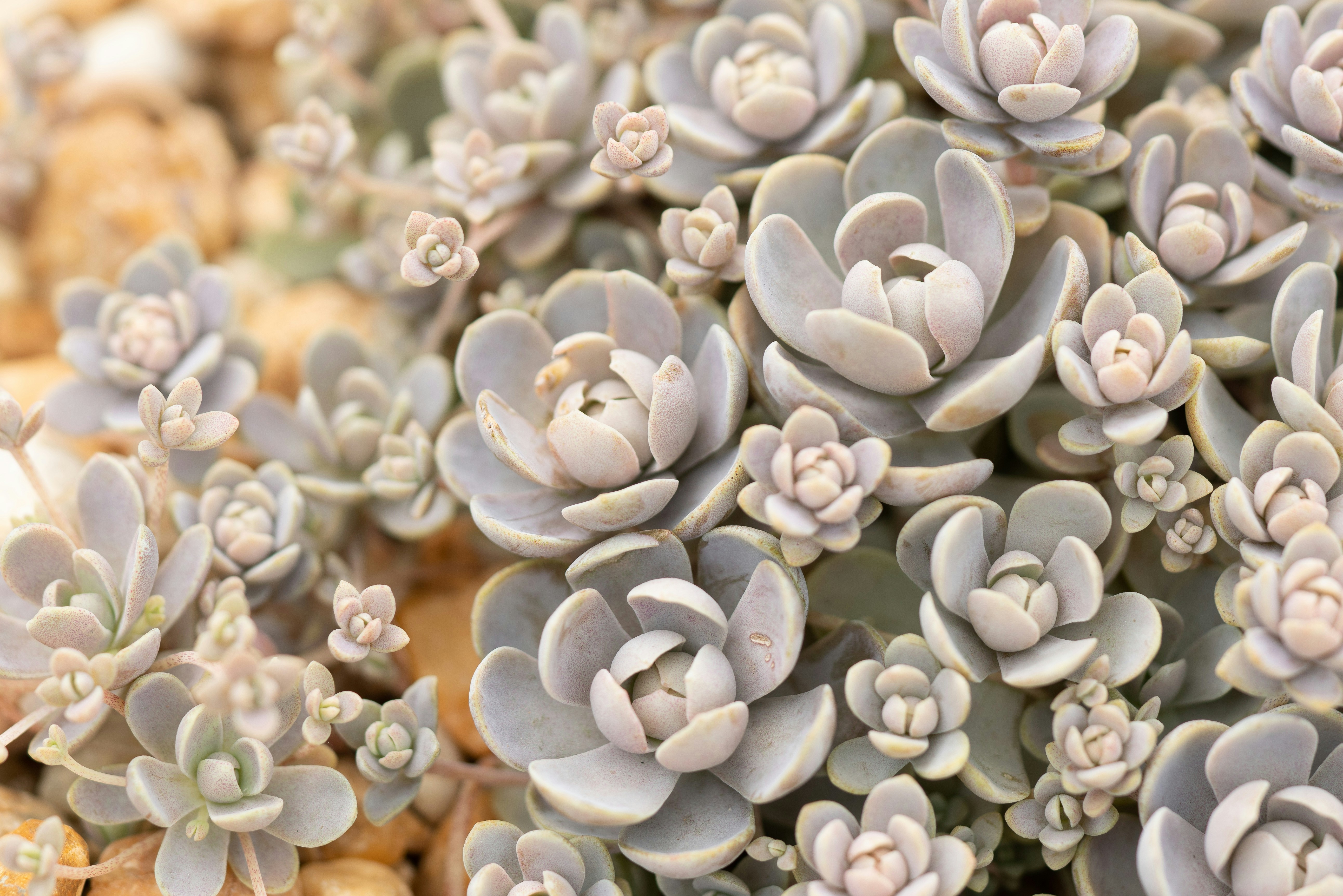 Photo by norajanelong