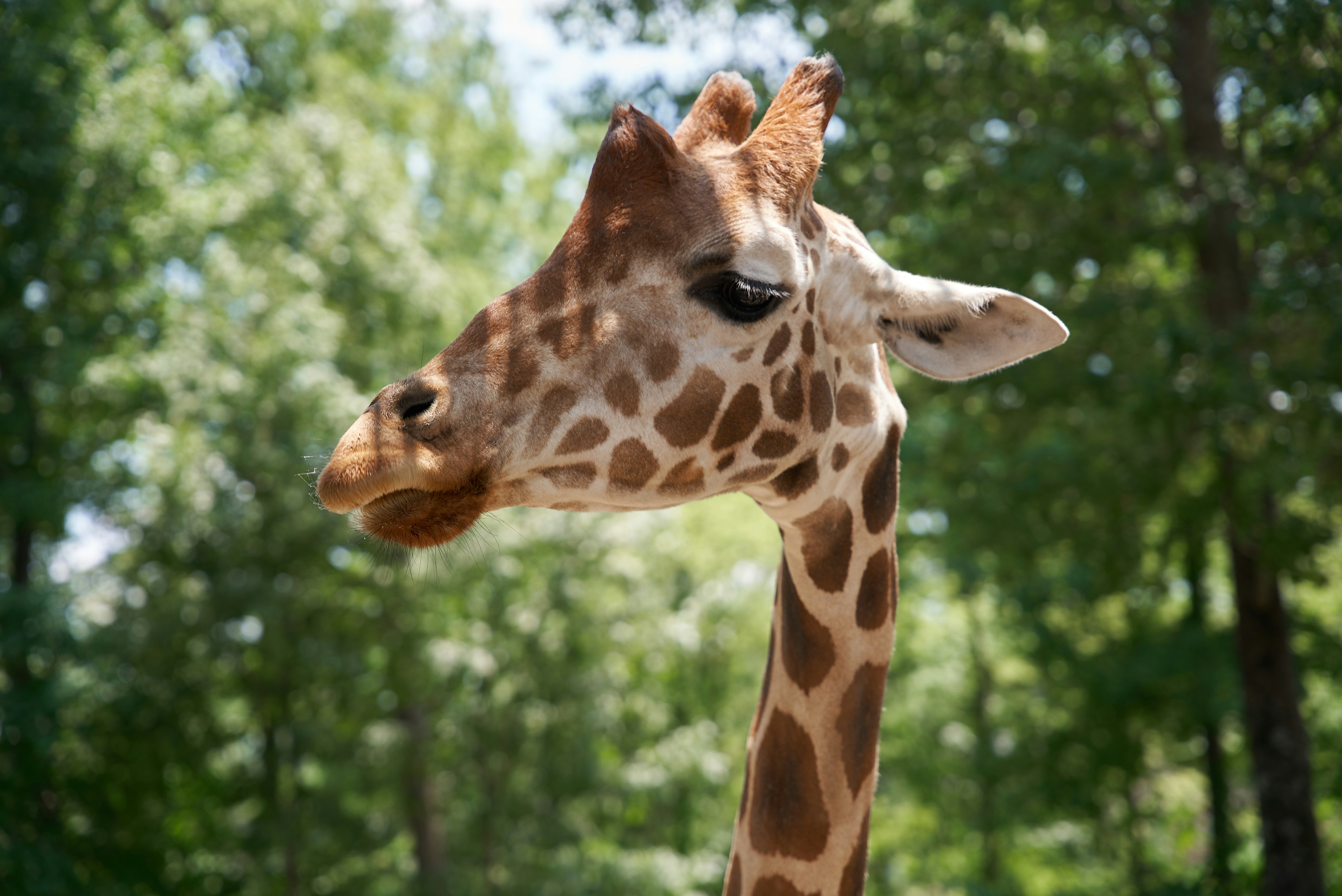 Photo by norajanelong