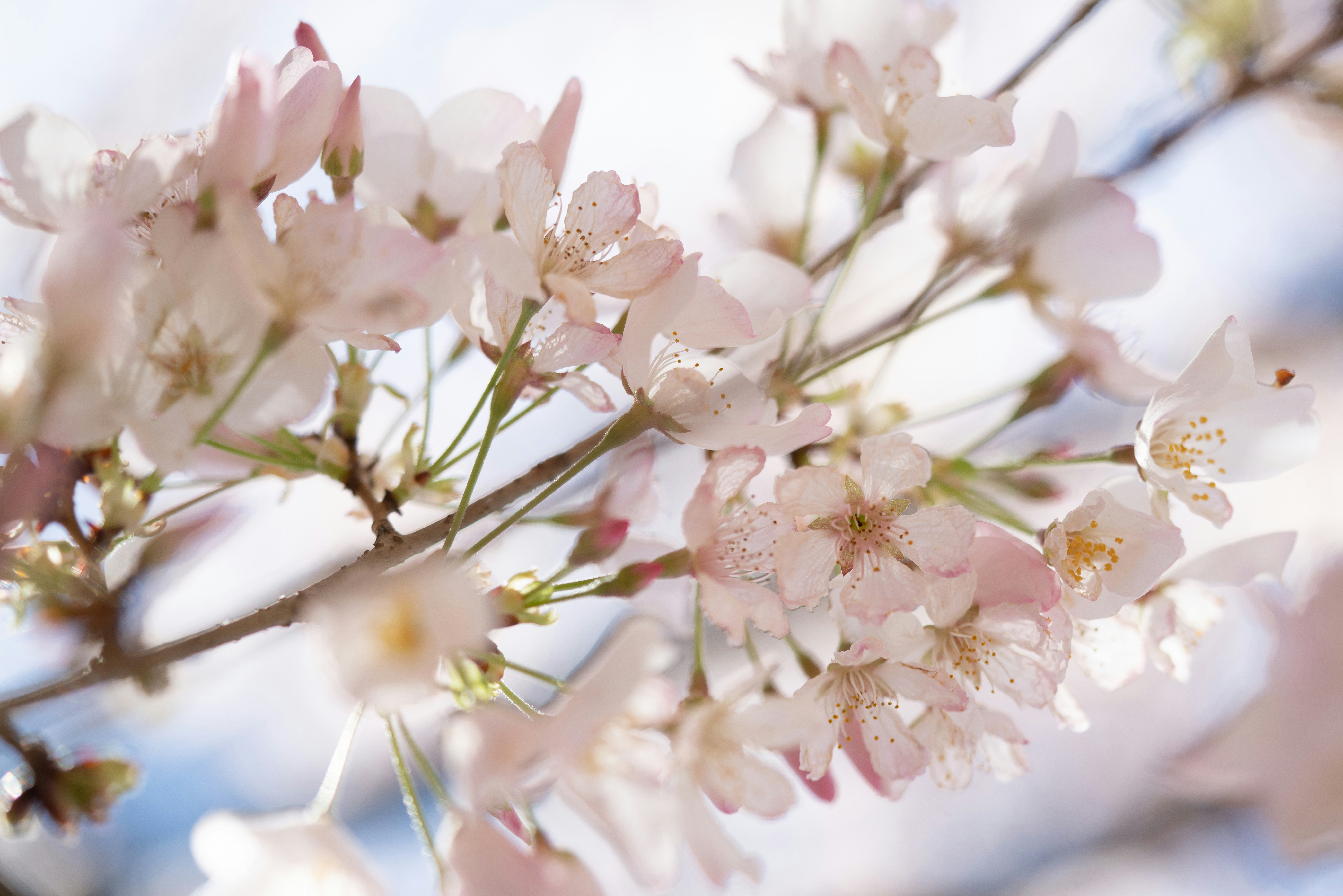 Photo by norajanelong