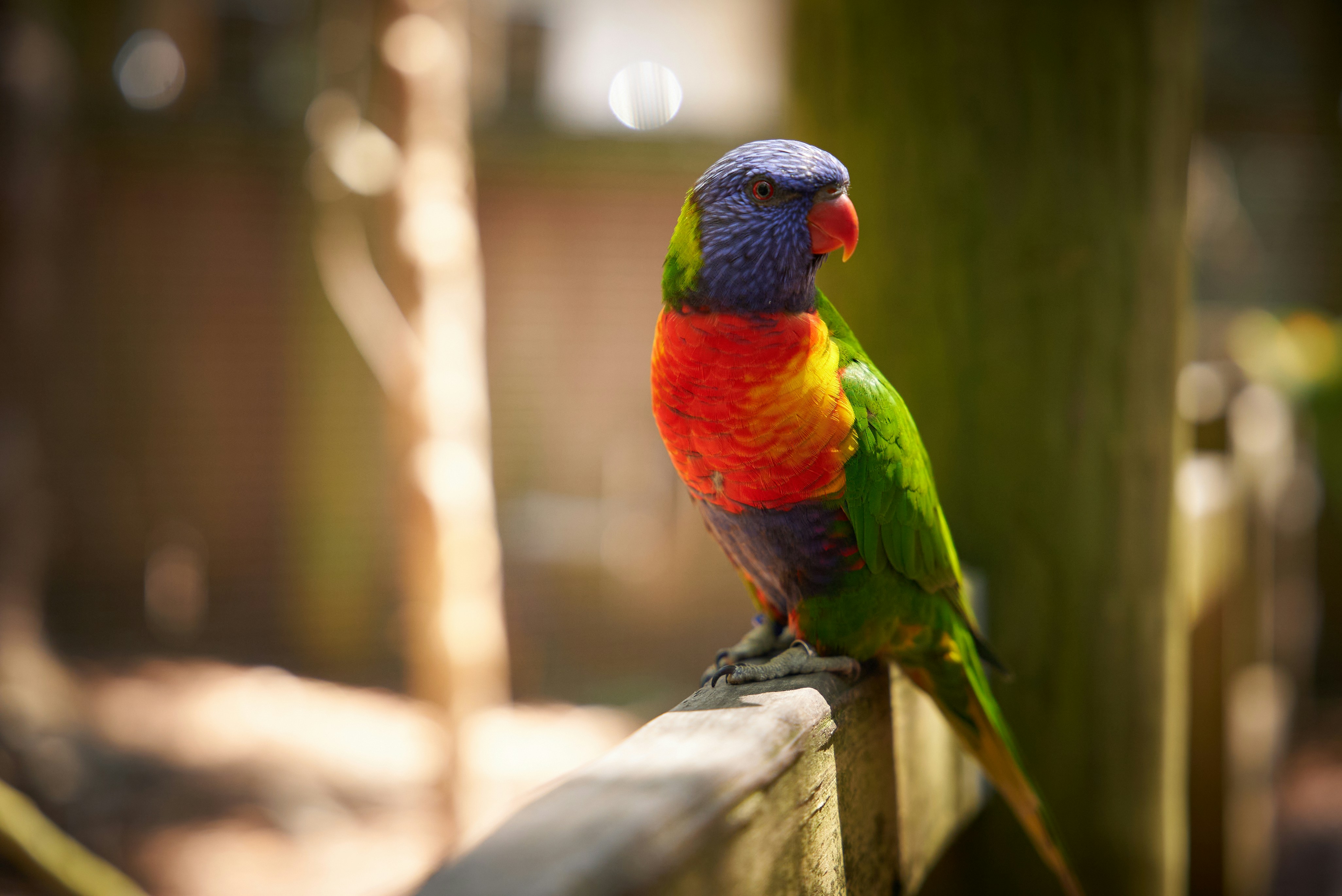 Photo by norajanelong