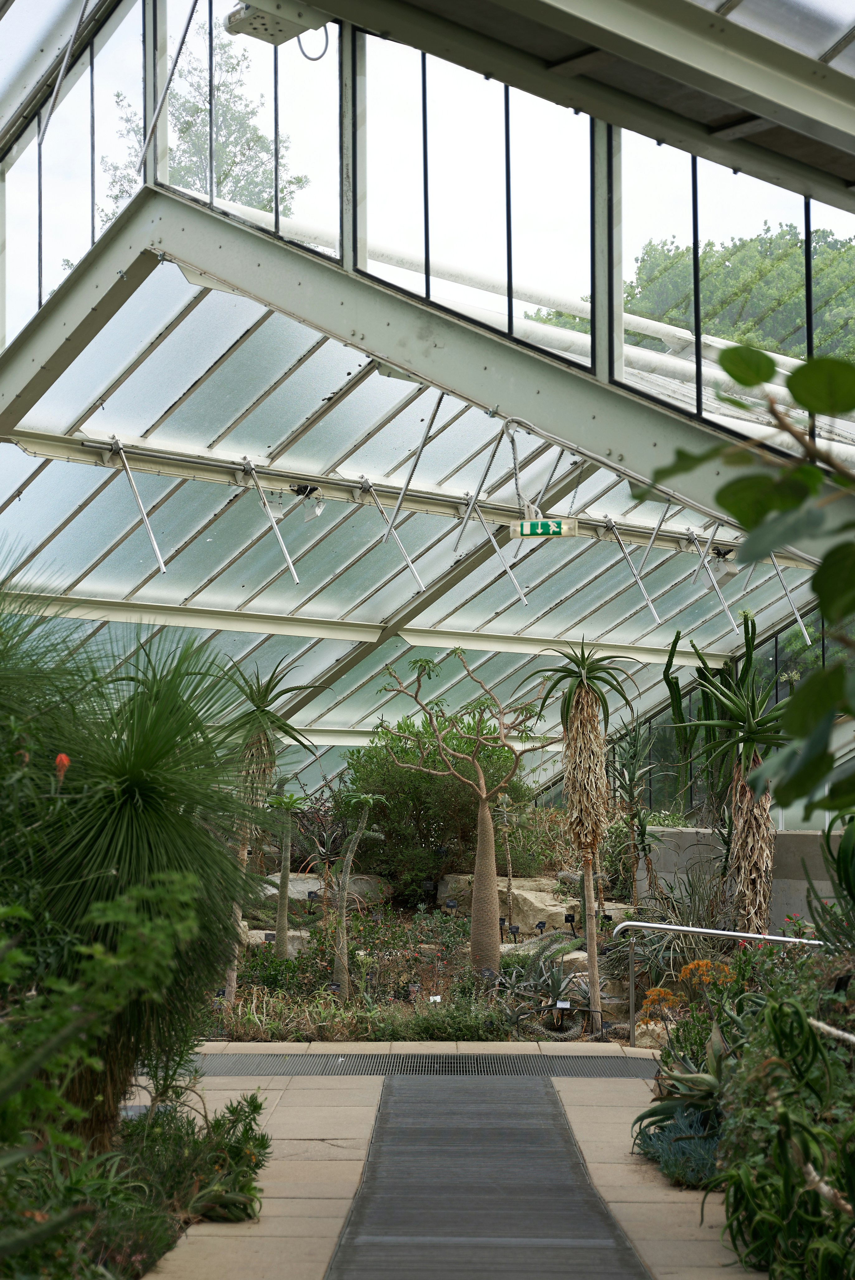 Photo by norajanelong