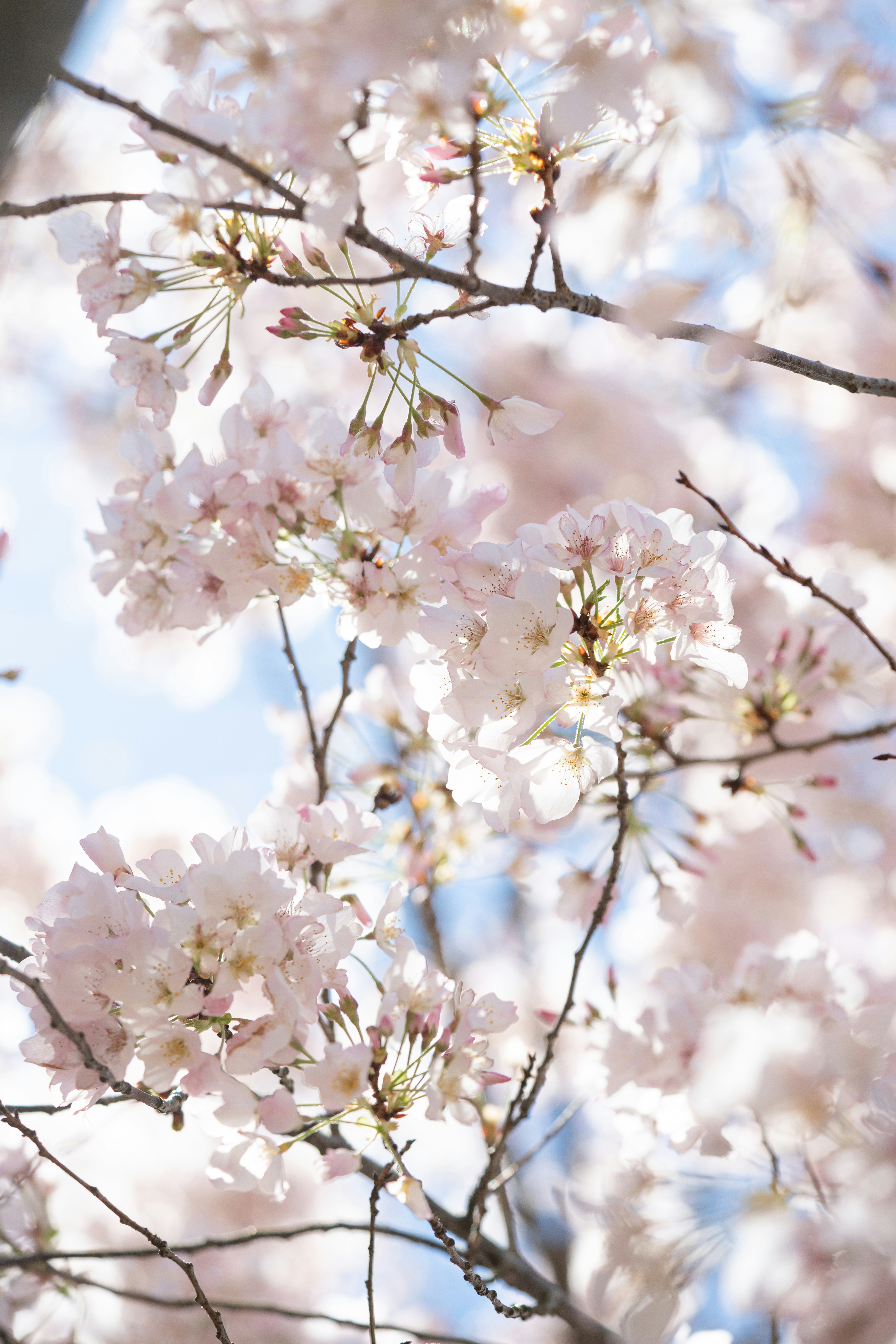 Photo by norajanelong