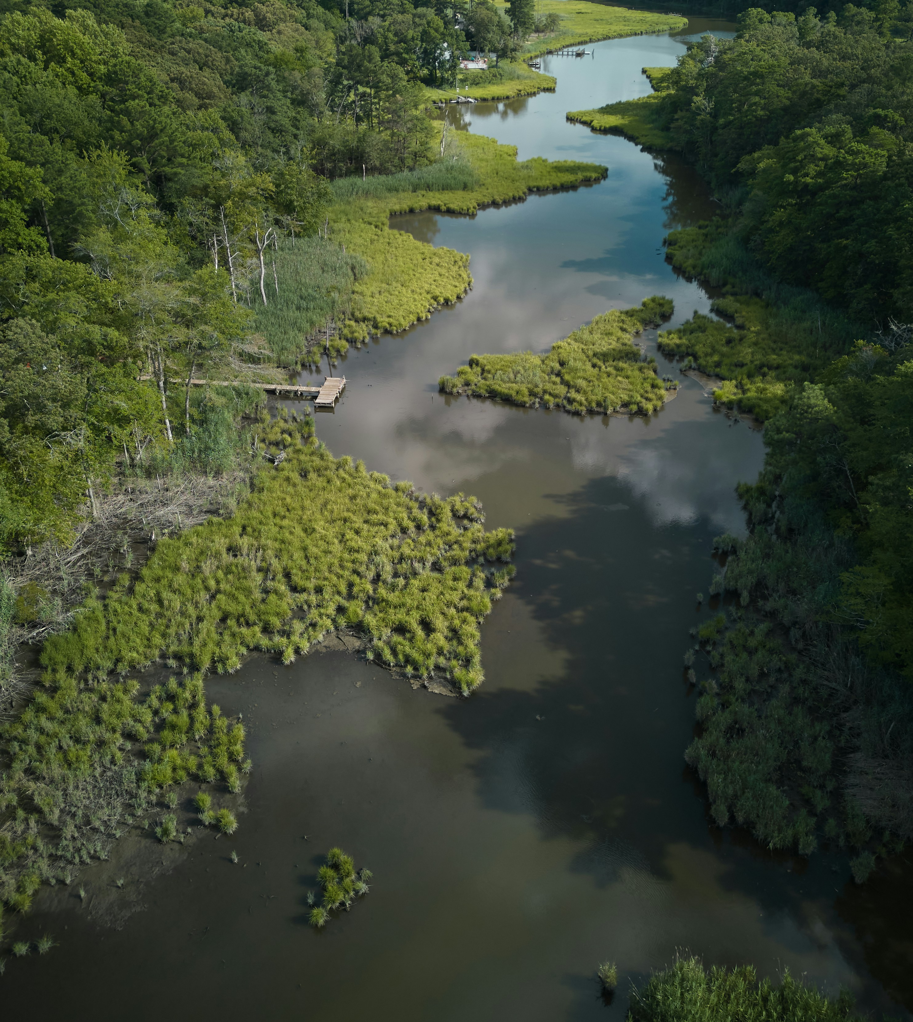 Photo by norajanelong