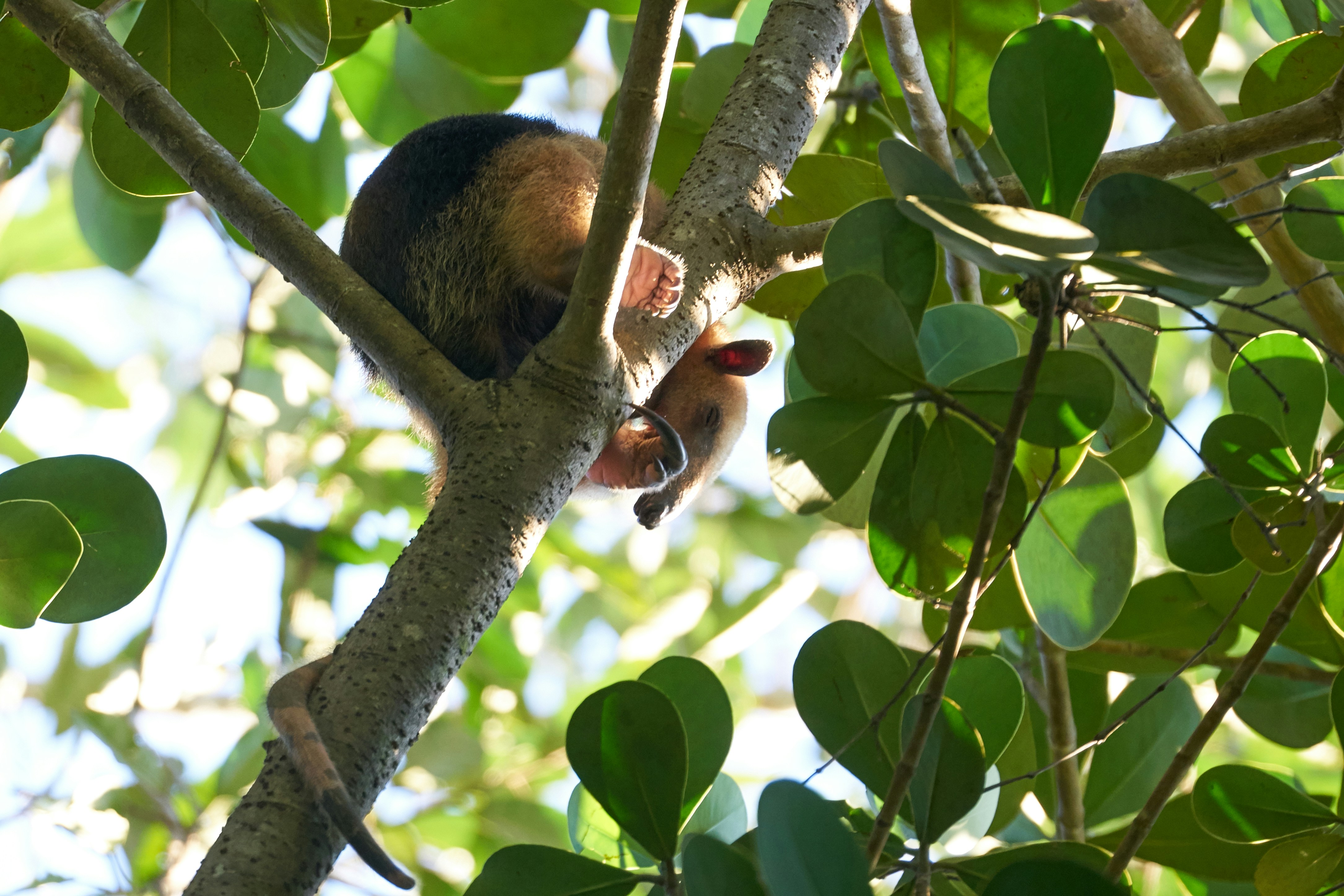 Photo by norajanelong