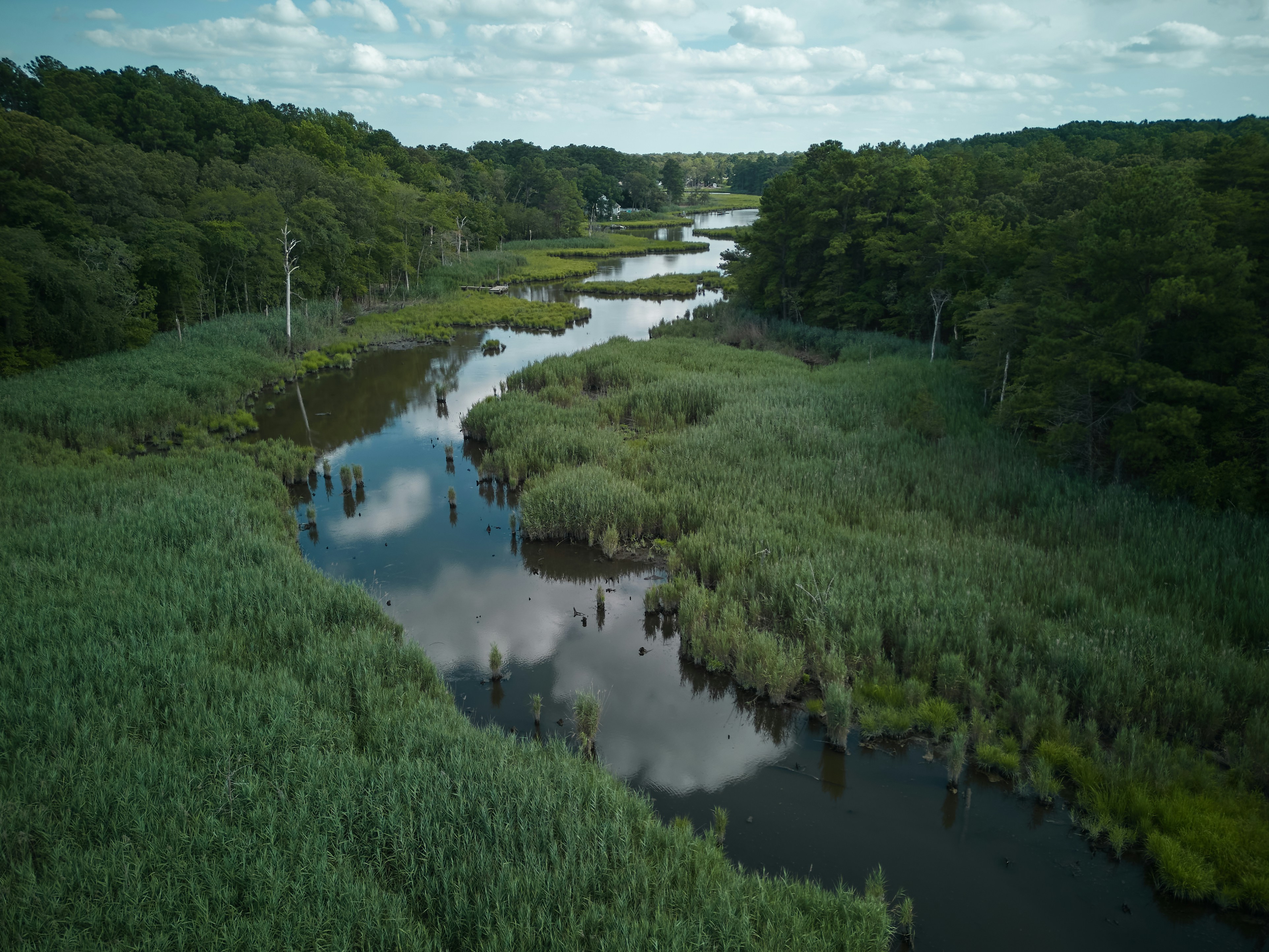 Photo by norajanelong