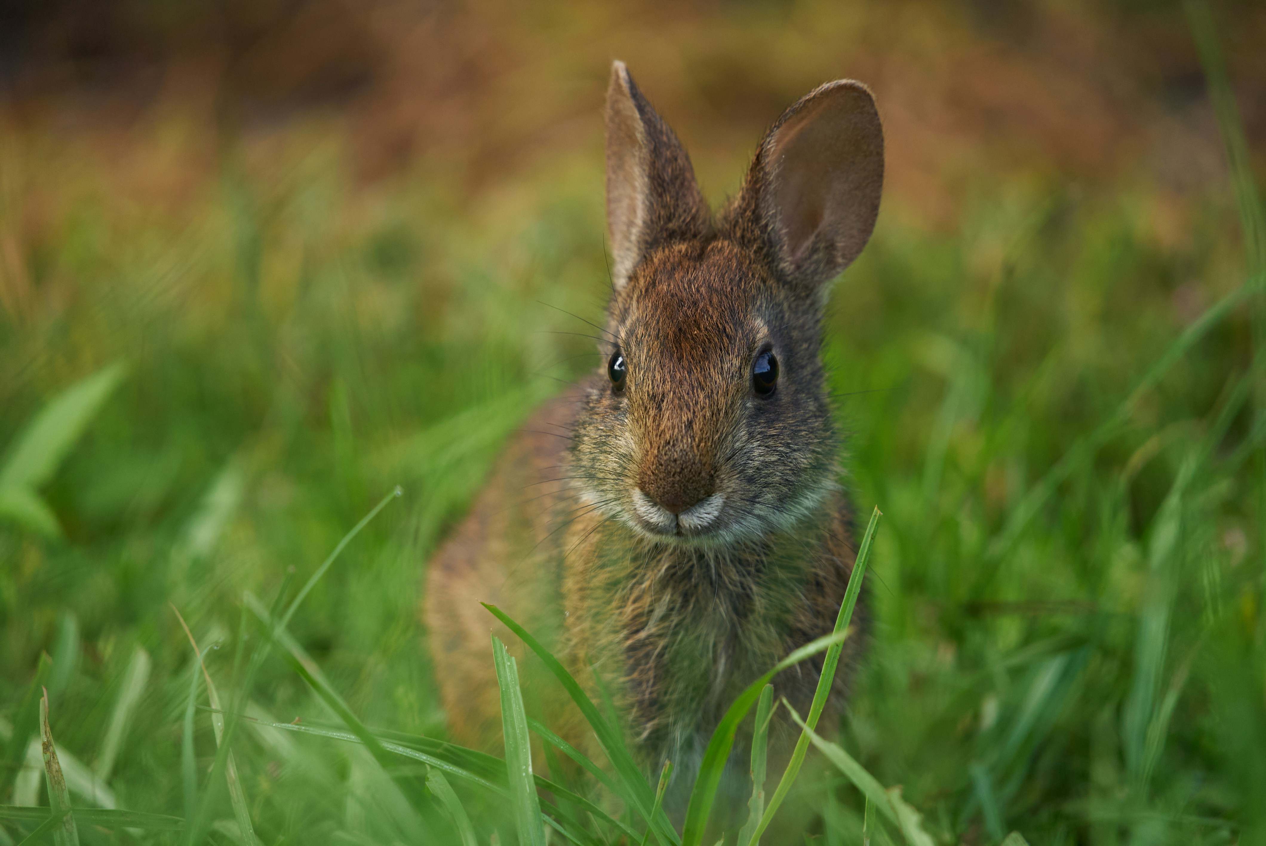 Photo by norajanelong