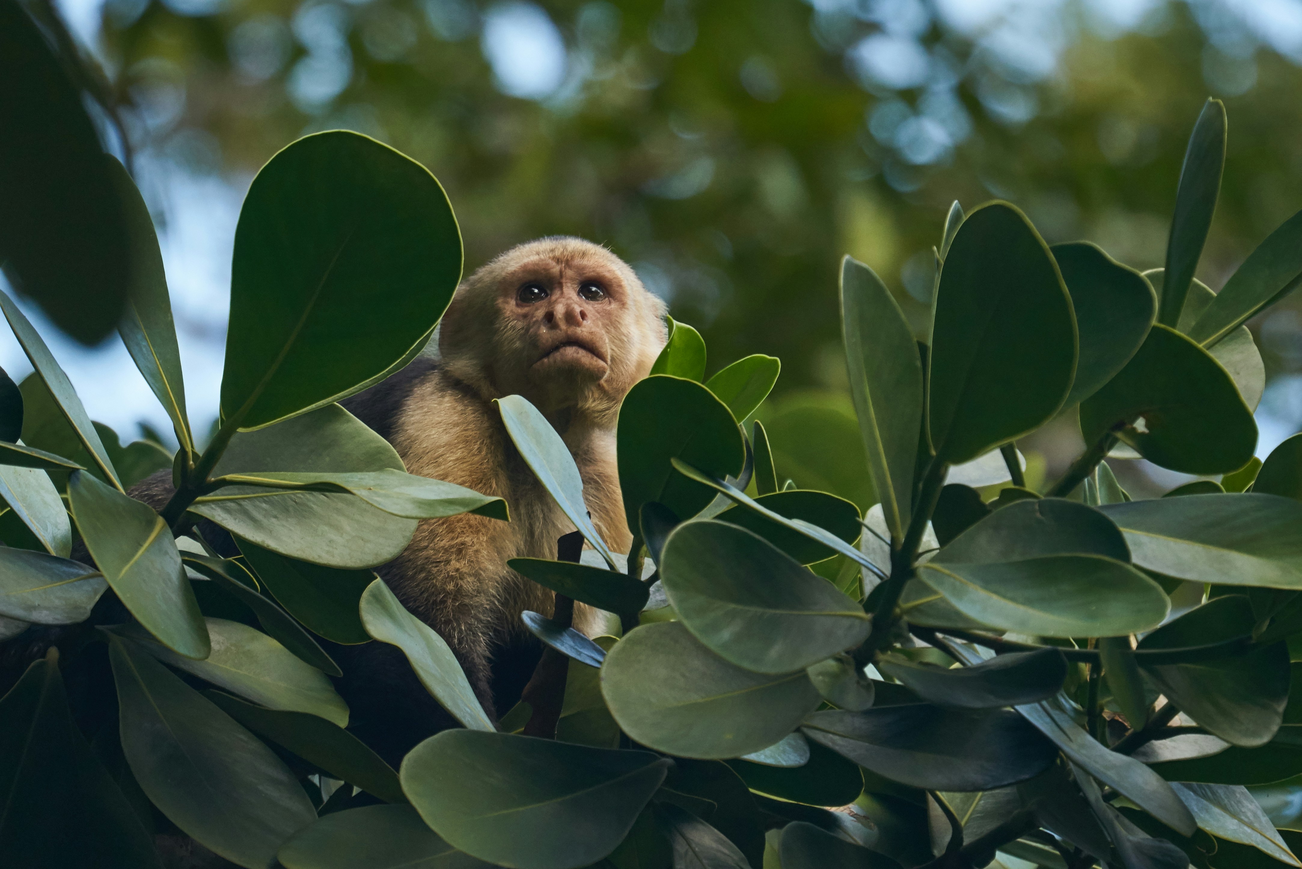 Photo by norajanelong