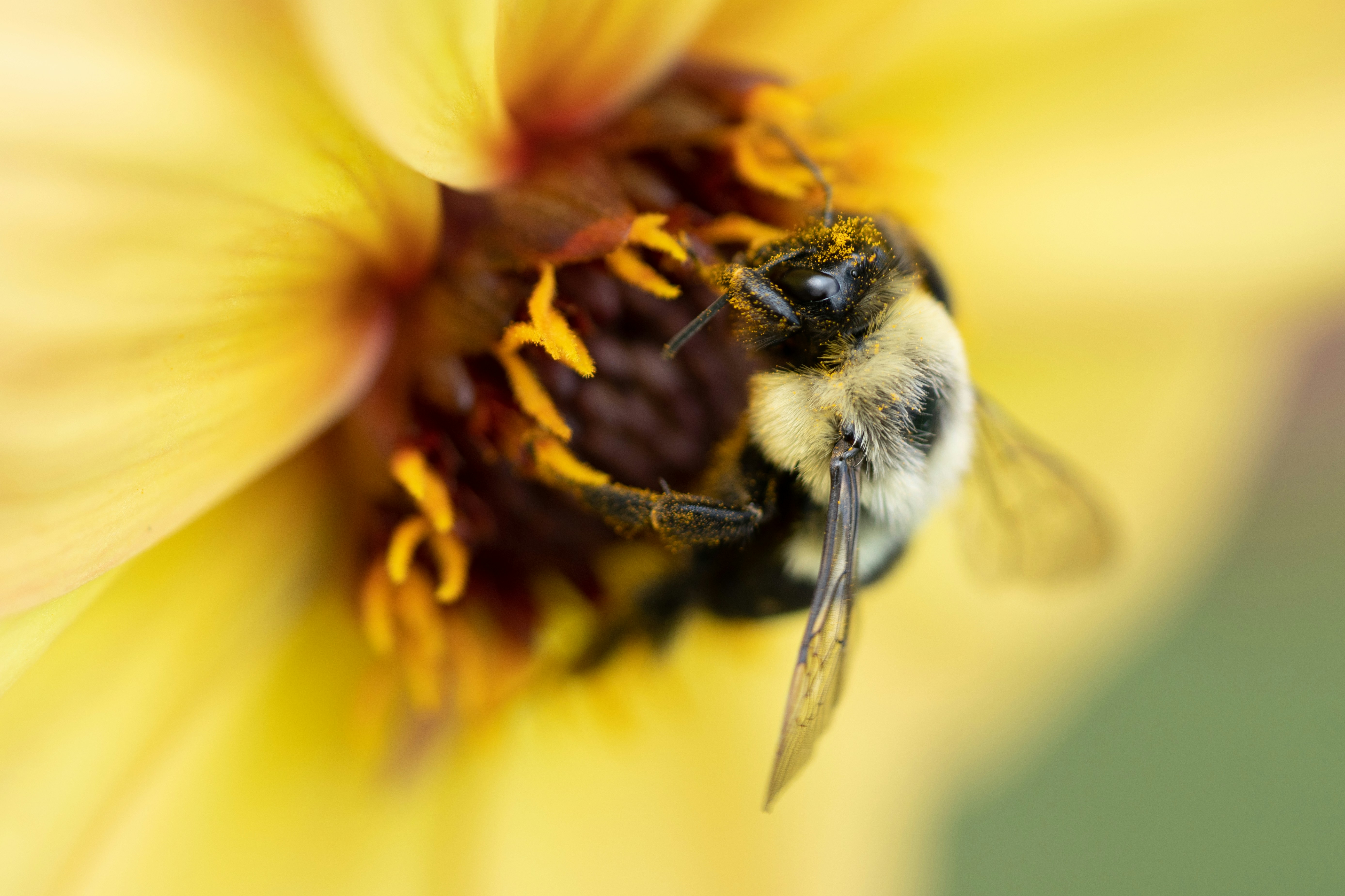 Photo by norajanelong