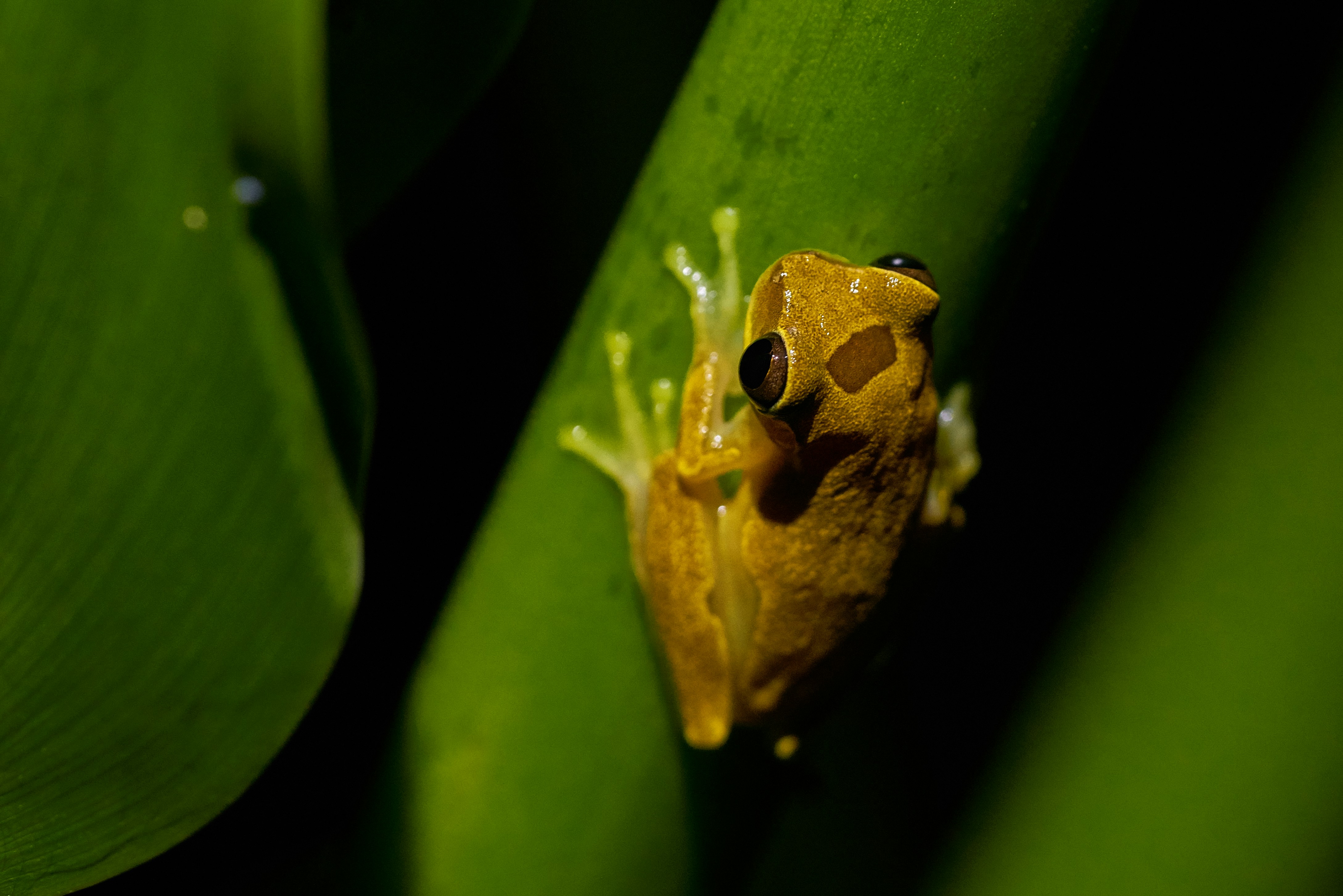 Photo by norajanelong