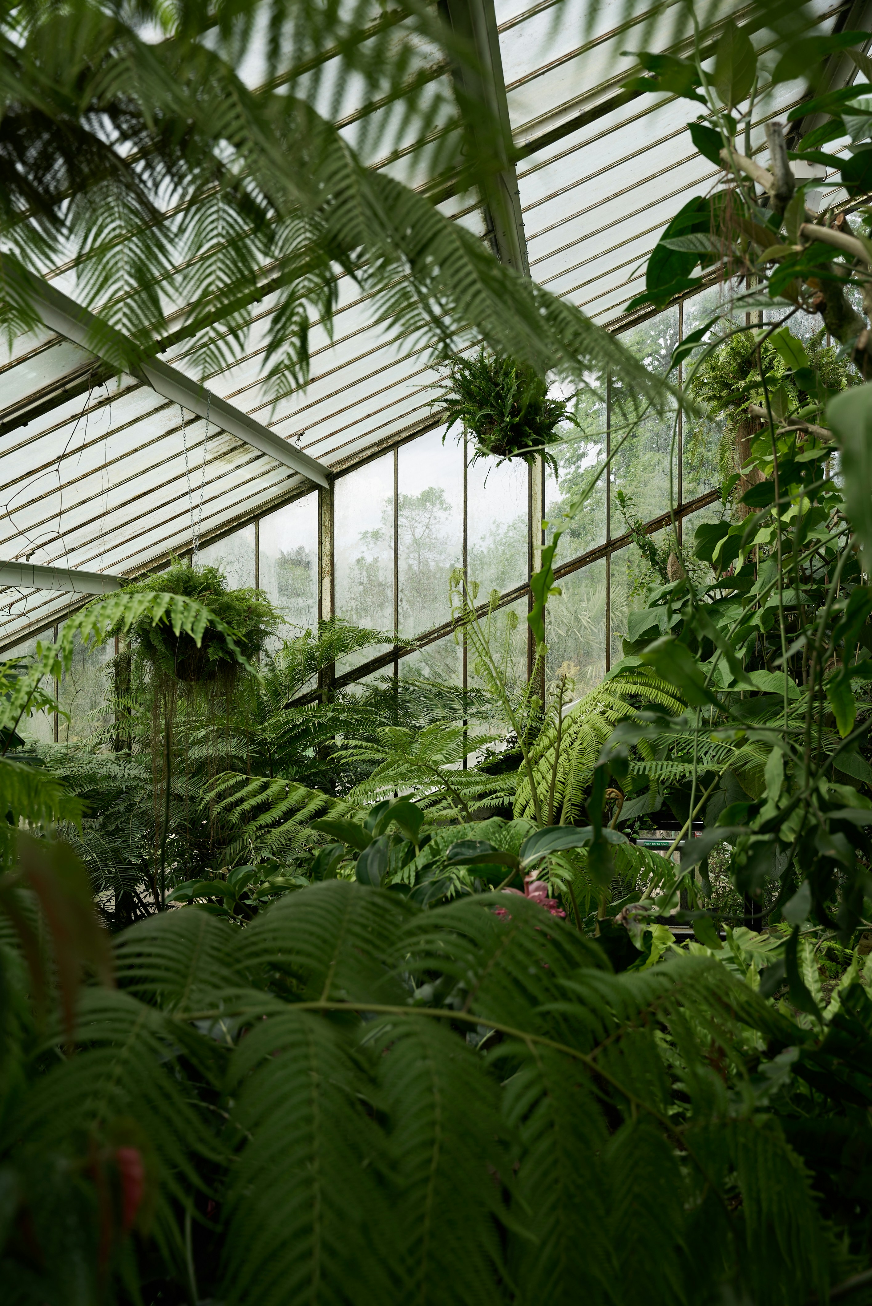 Photo by norajanelong