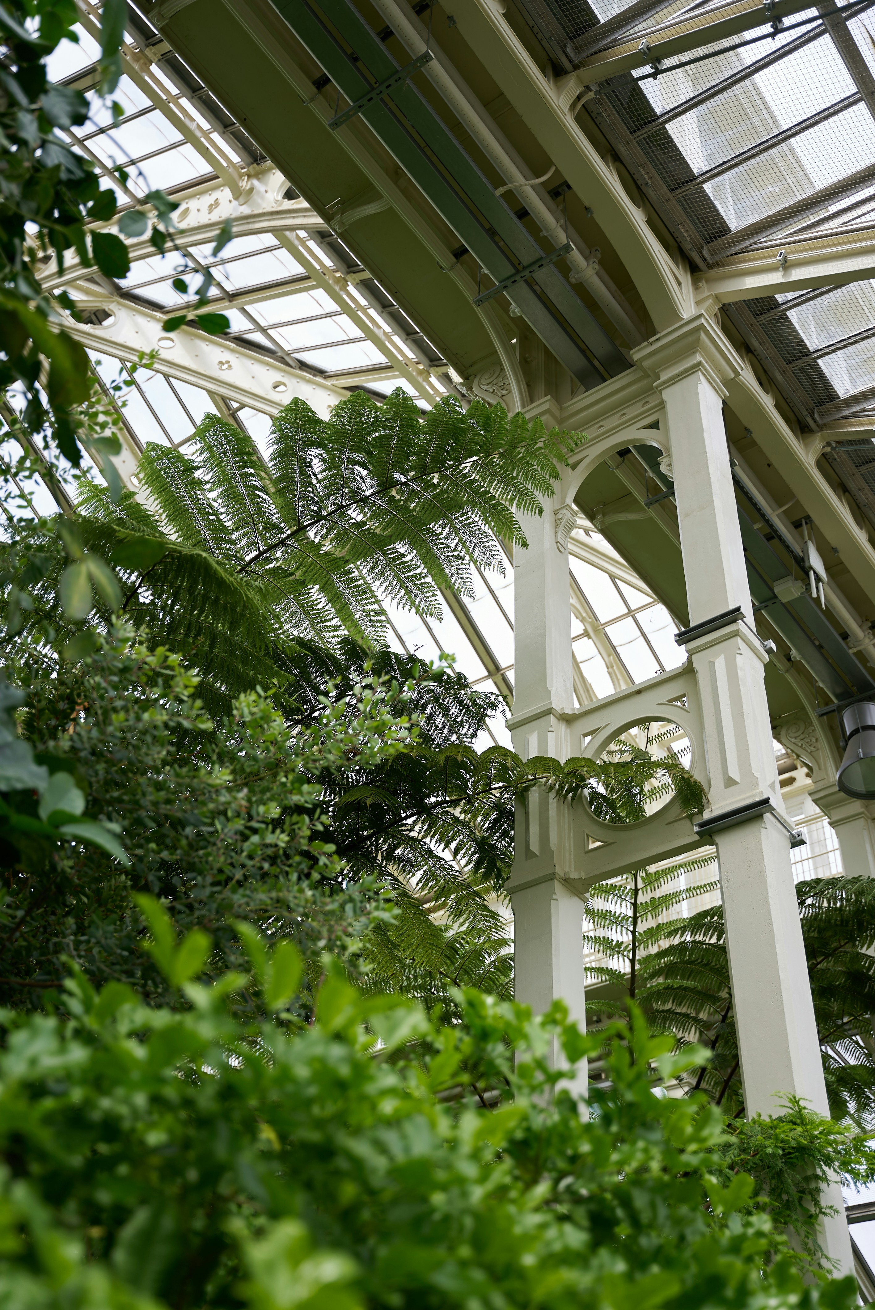 Photo by norajanelong