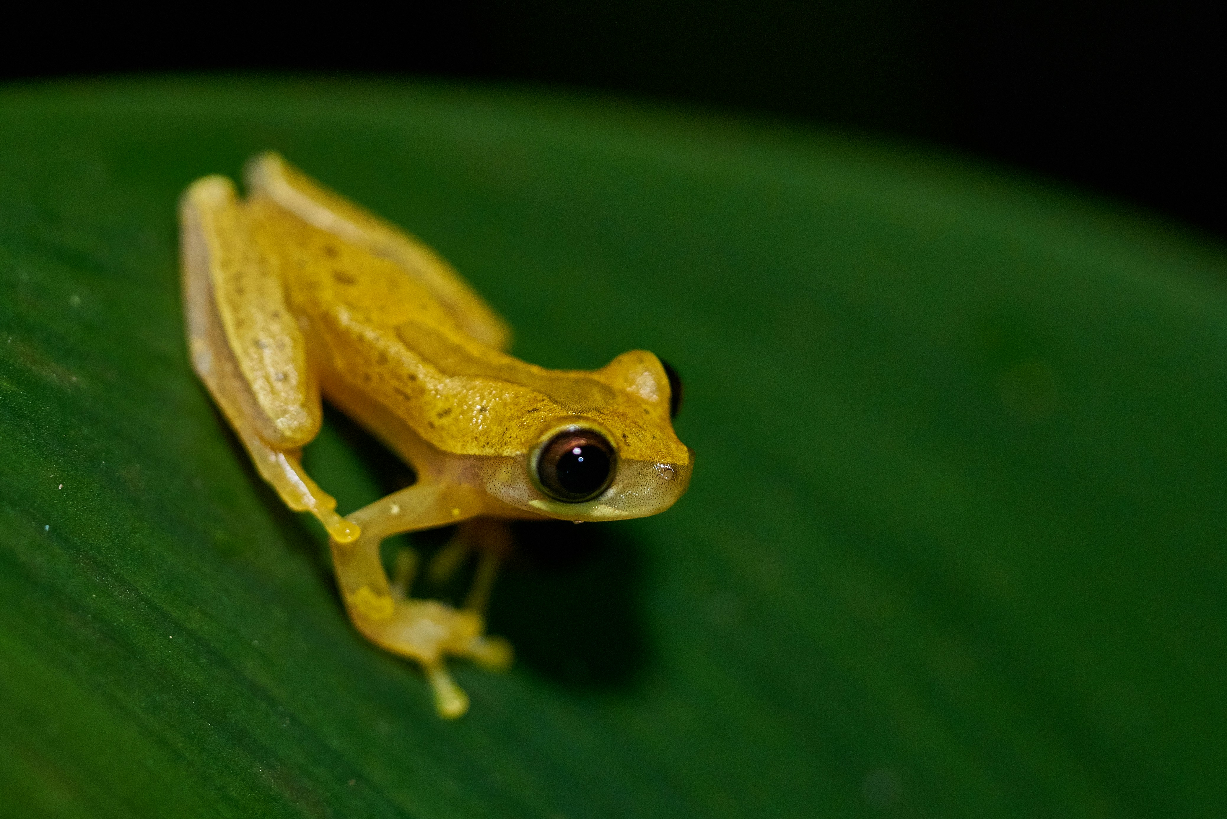 Photo by norajanelong