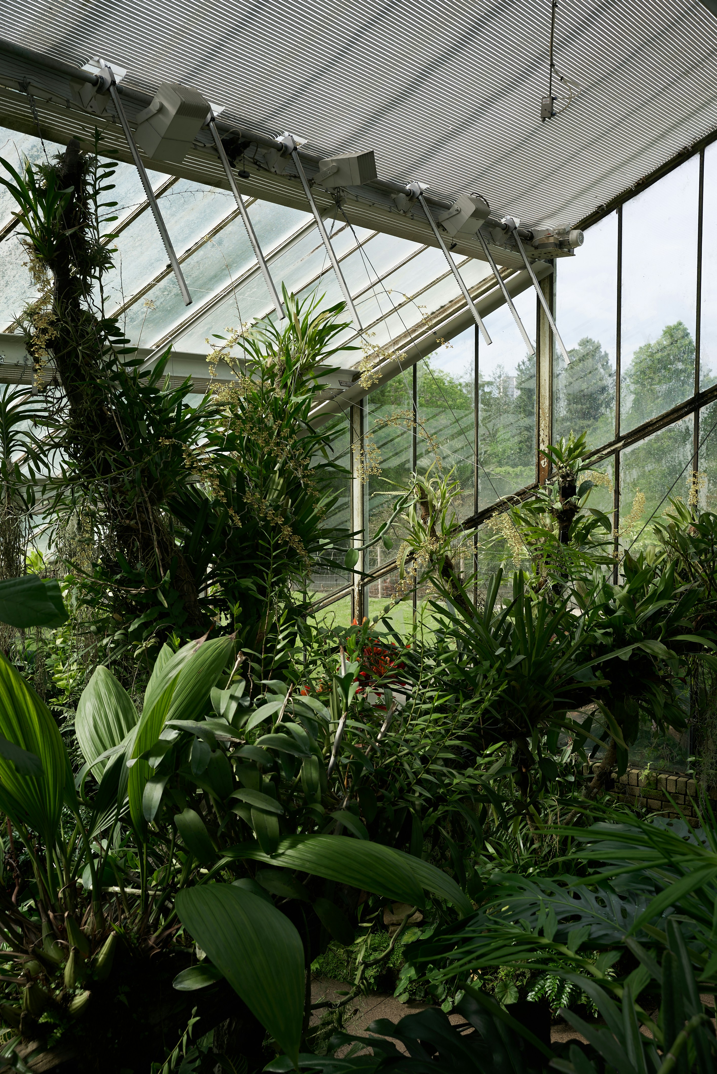 Photo by norajanelong