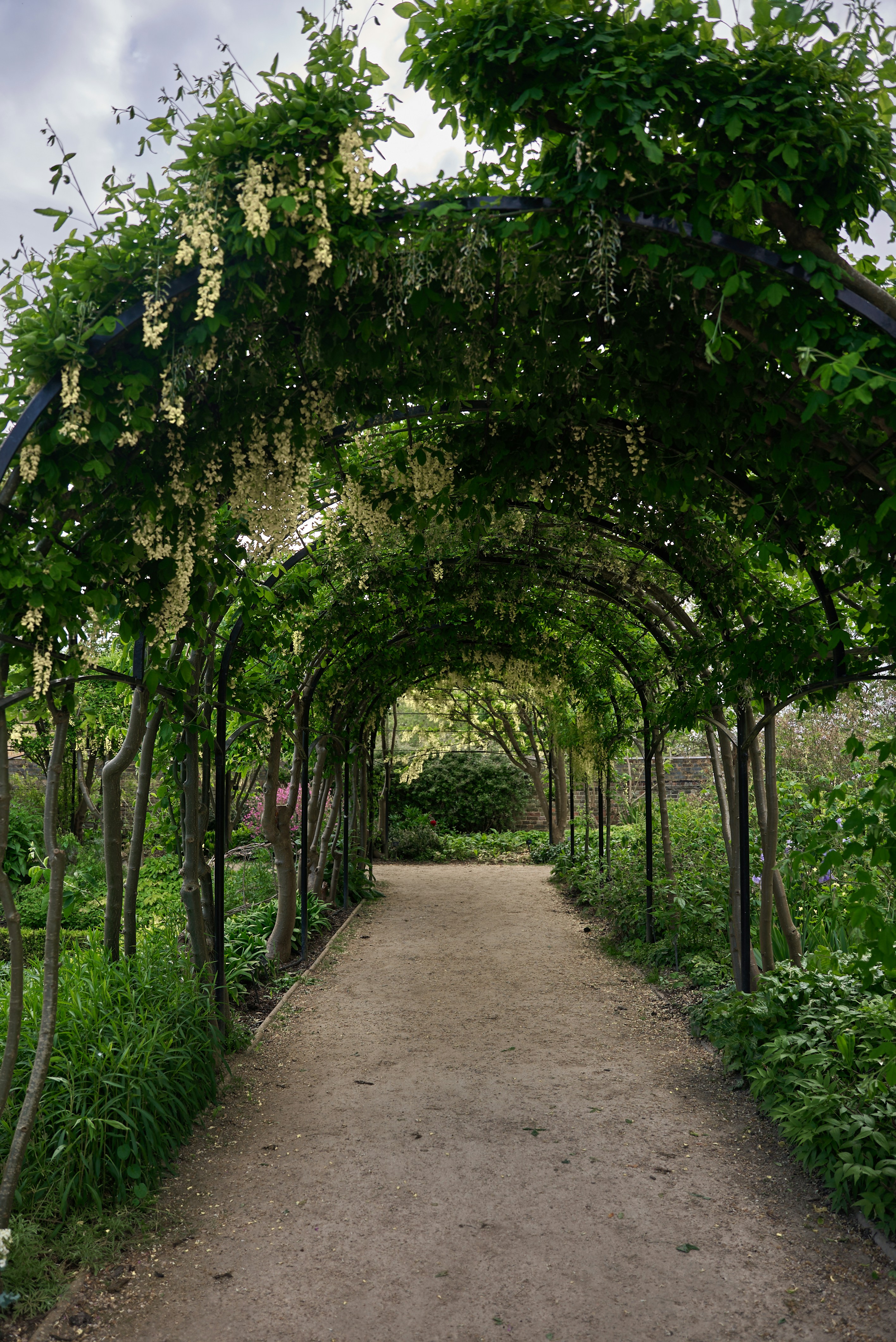 Photo by norajanelong