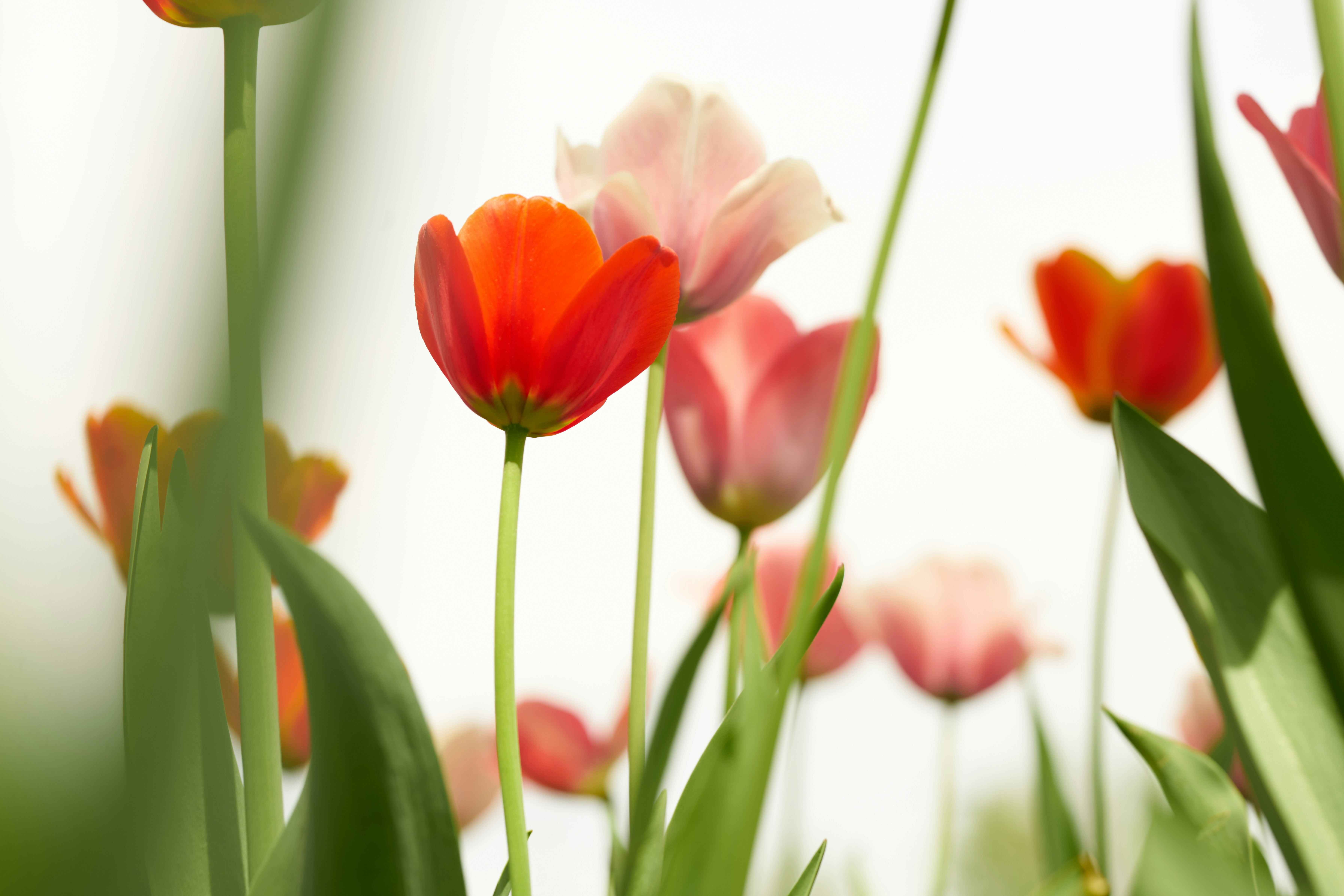 Photo by norajanelong