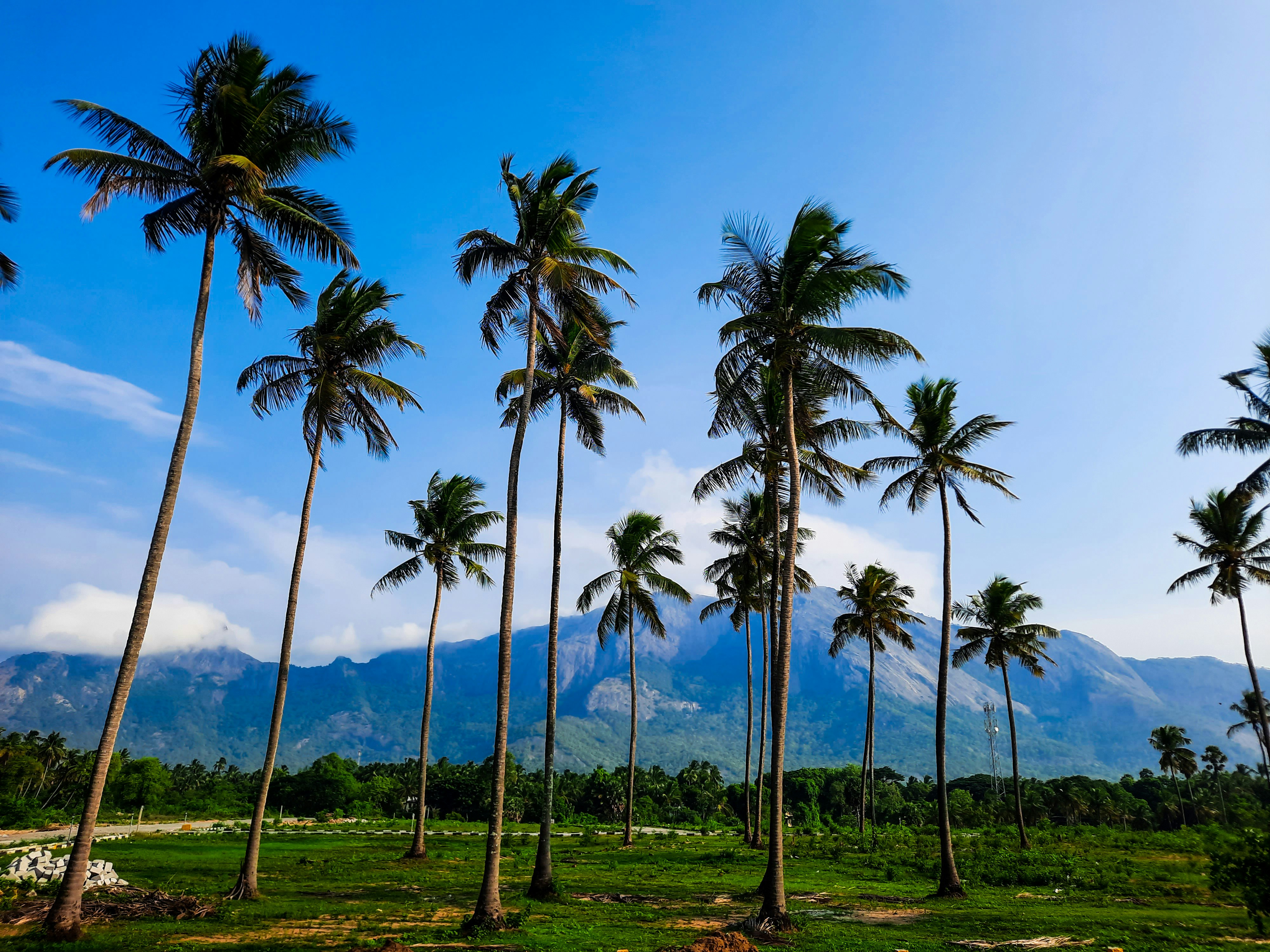 Photo by manjuvishnu