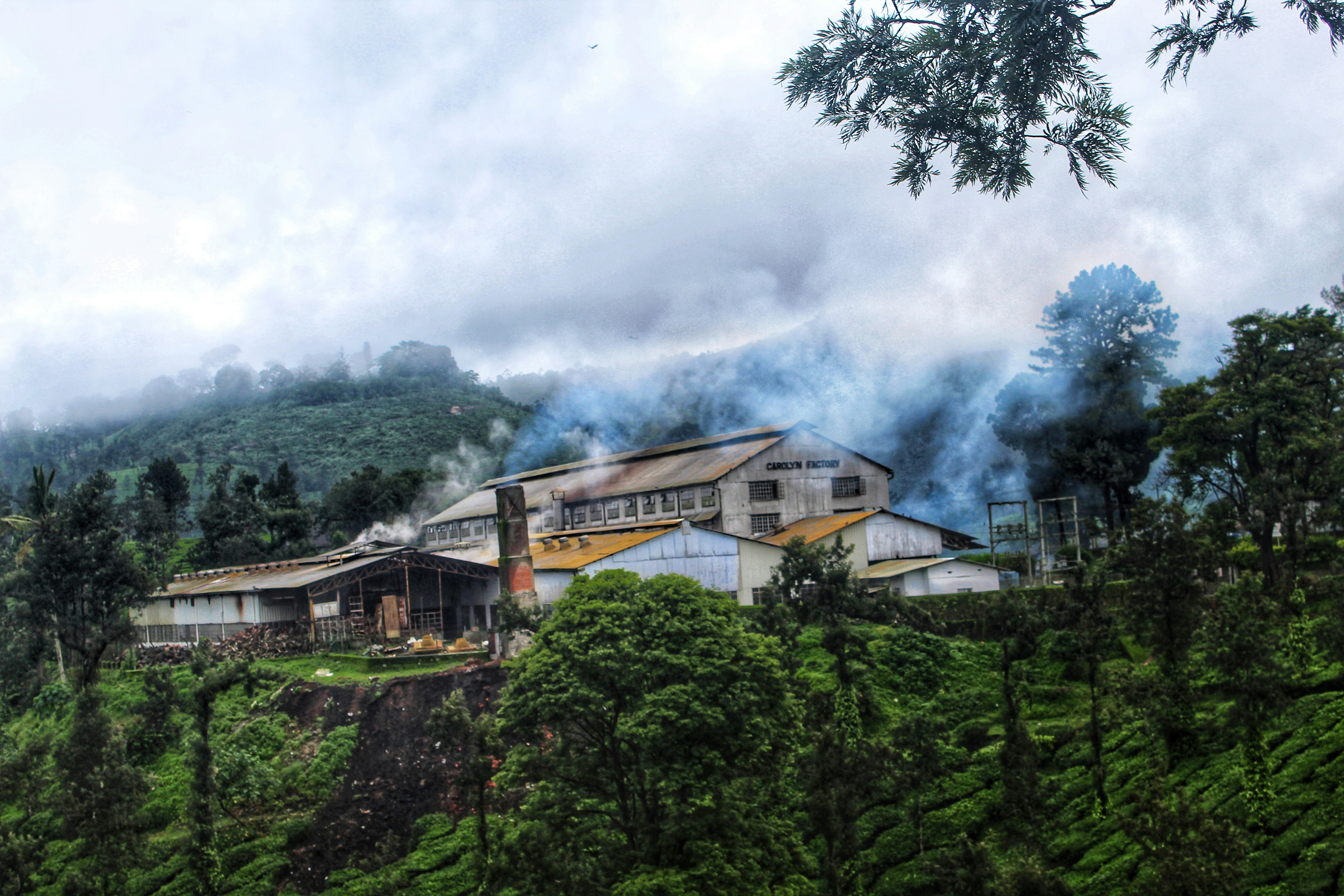 Factories in Wayanad