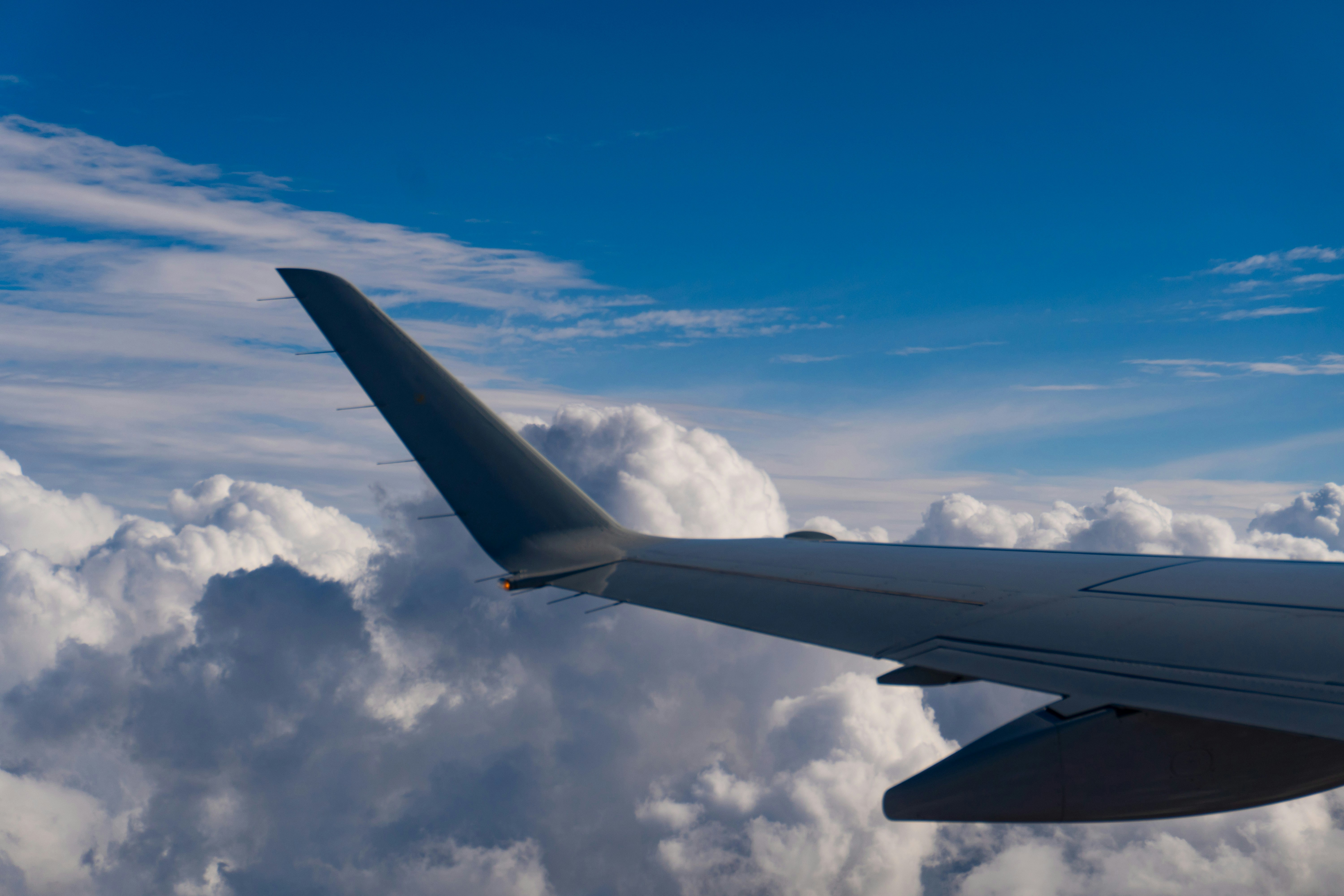 Photo by suyashmahar