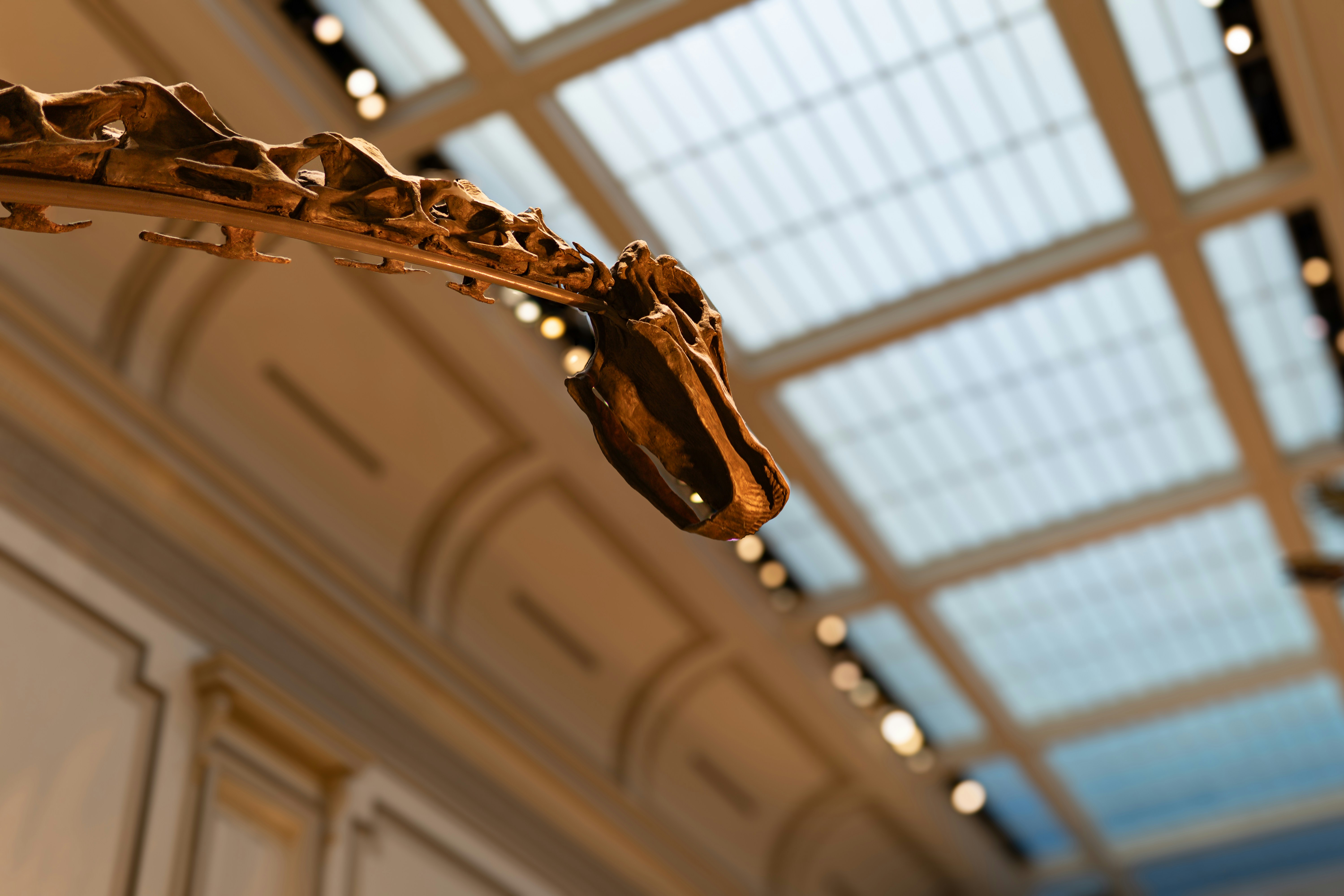 Photo by suyashmahar