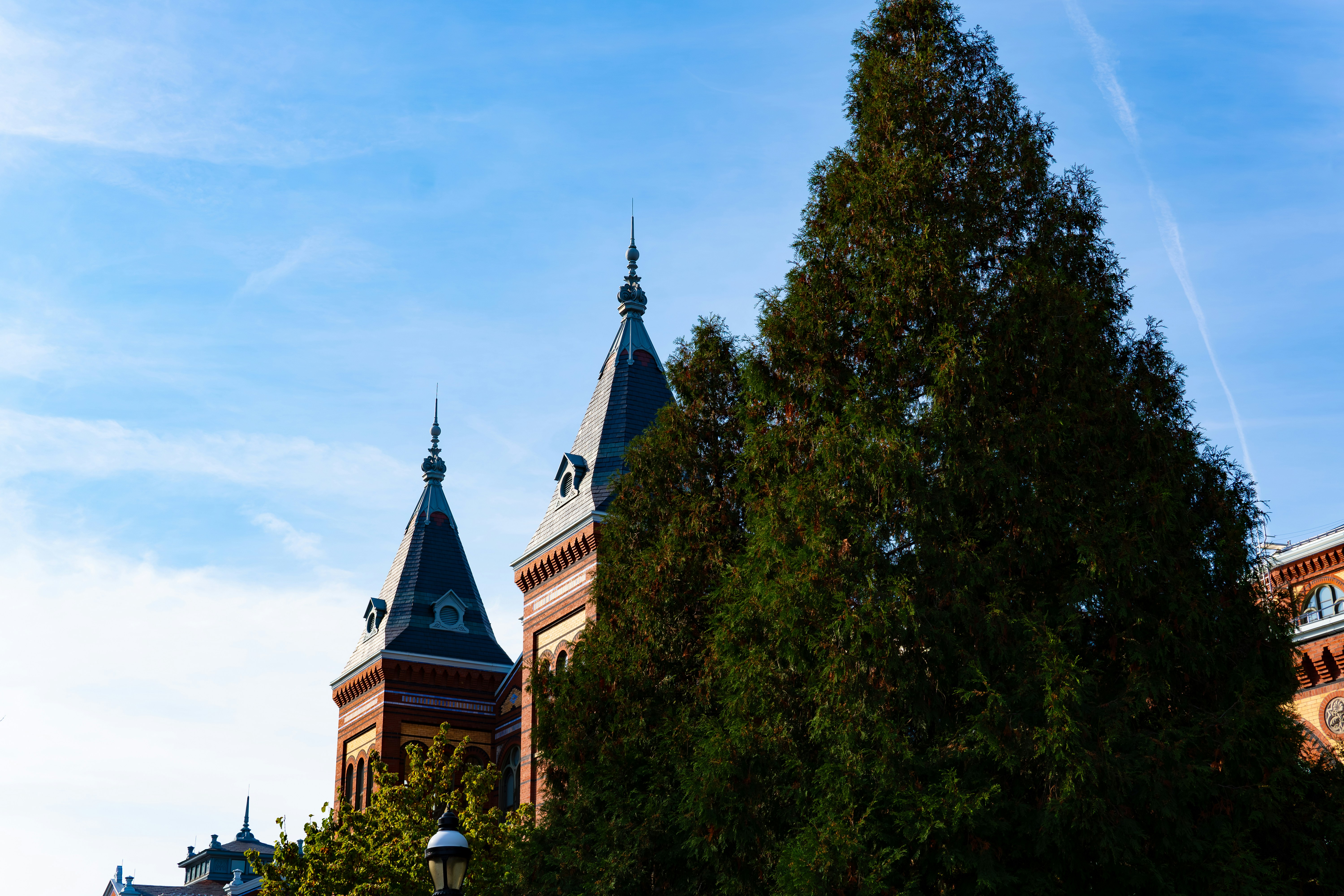 Photo by suyashmahar