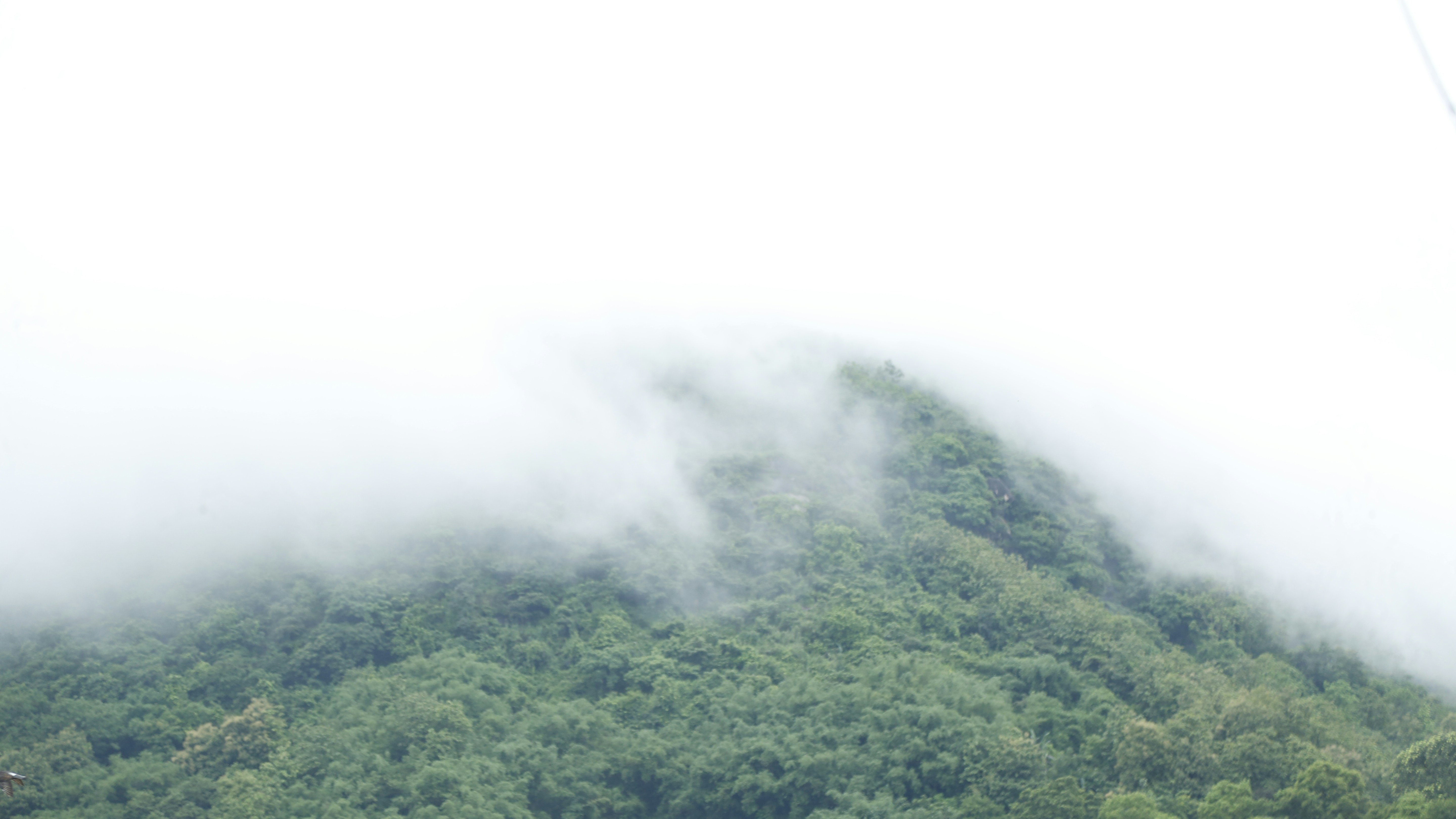 Photo by bailung_image2024