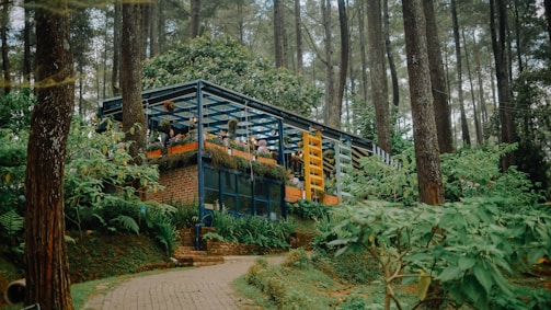A building in the middle of a forest
