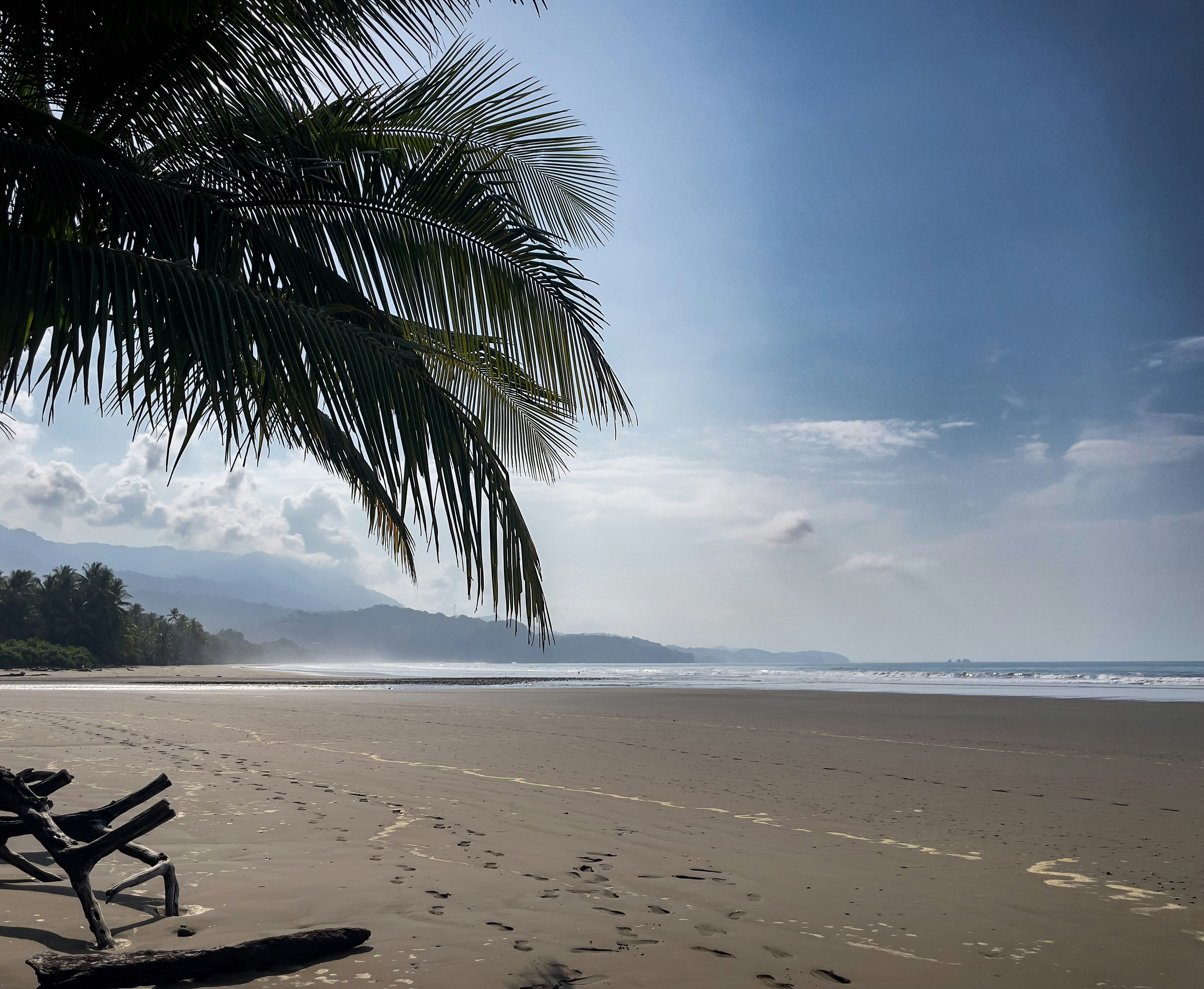 A bench sitting on top of a sandy beach, 