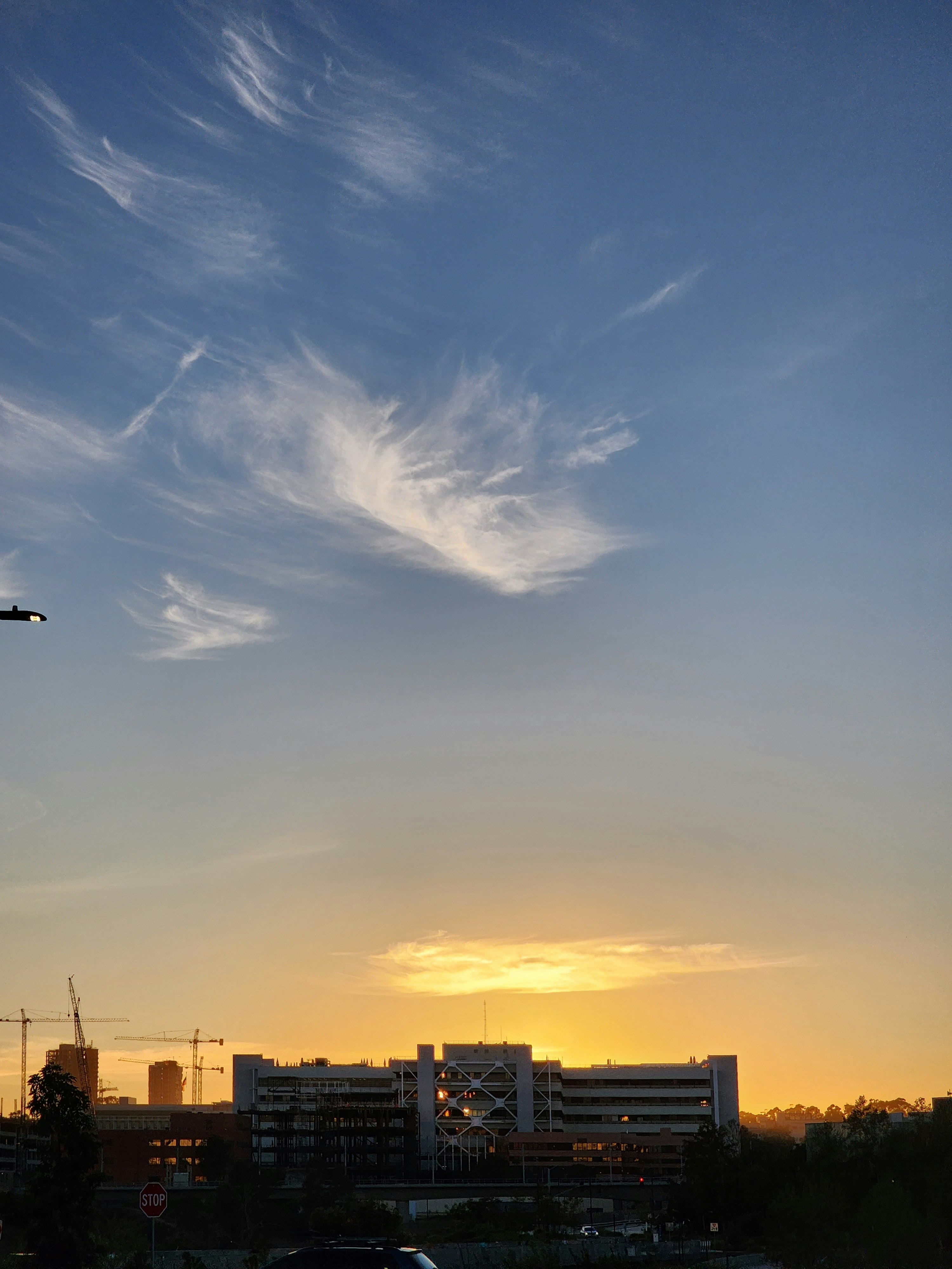 Photo by suyashmahar