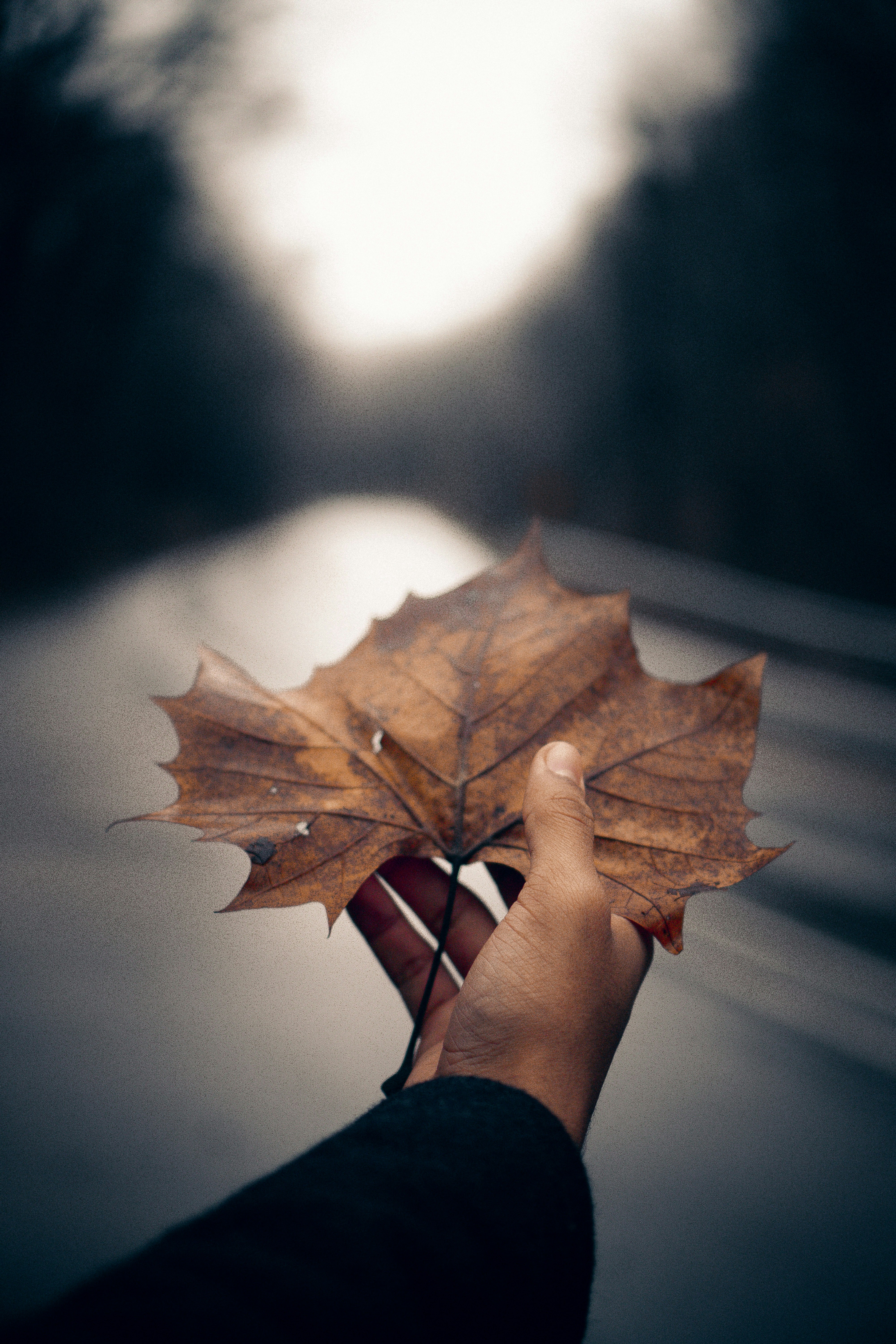 Photo by westhephotographer