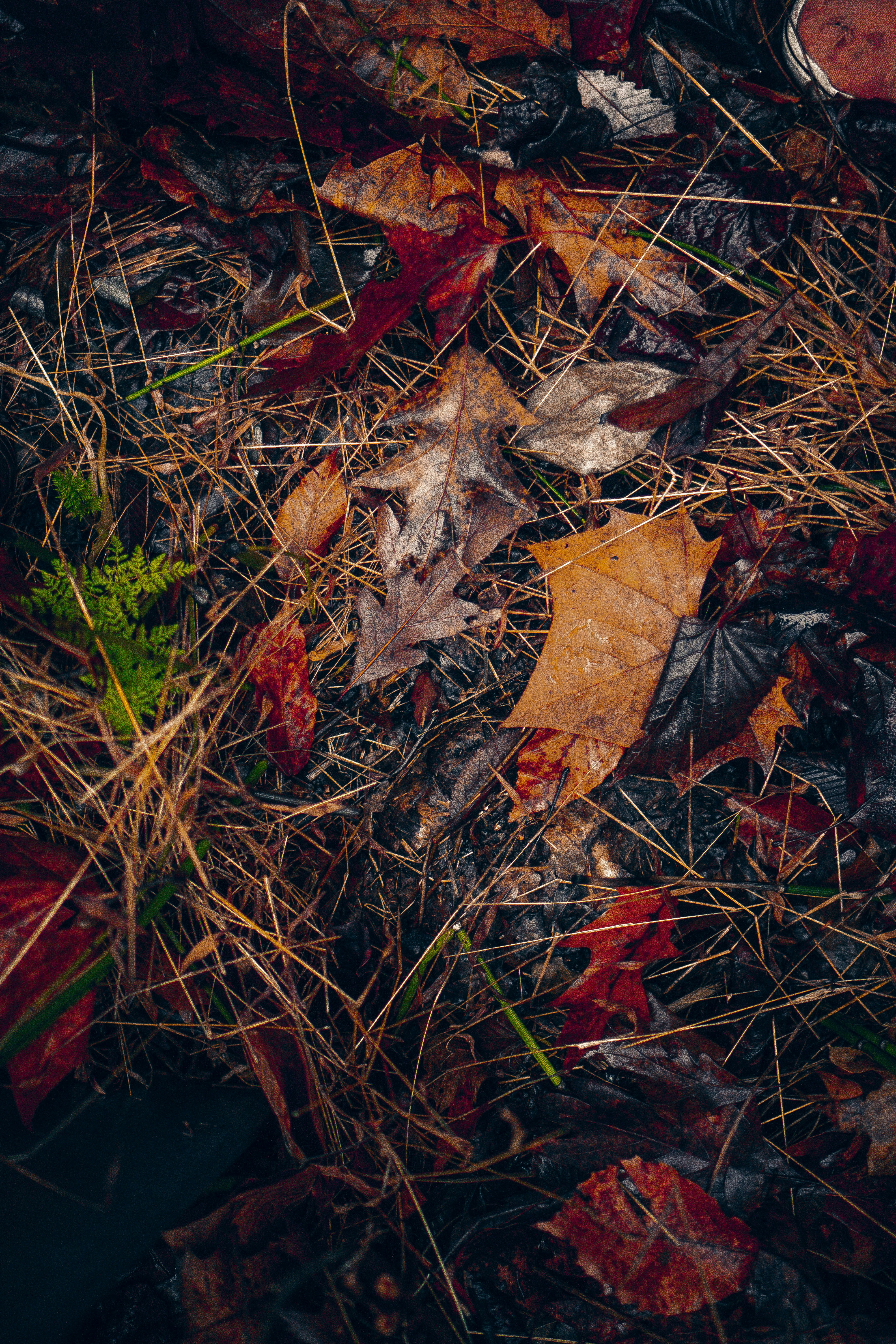 Photo by westhephotographer