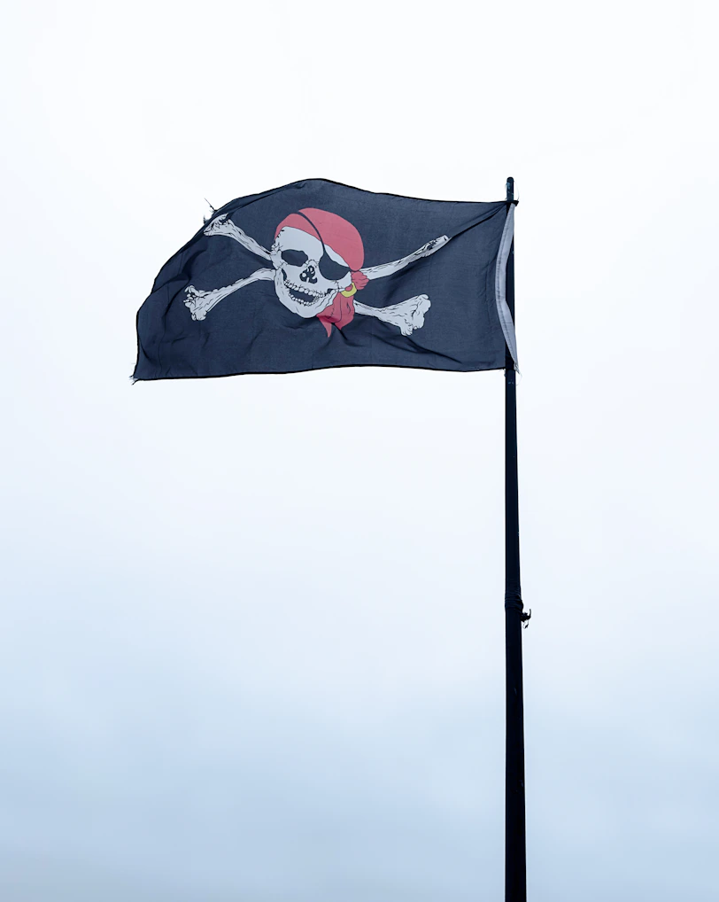 A pirate flag with a skull and crossbones on it