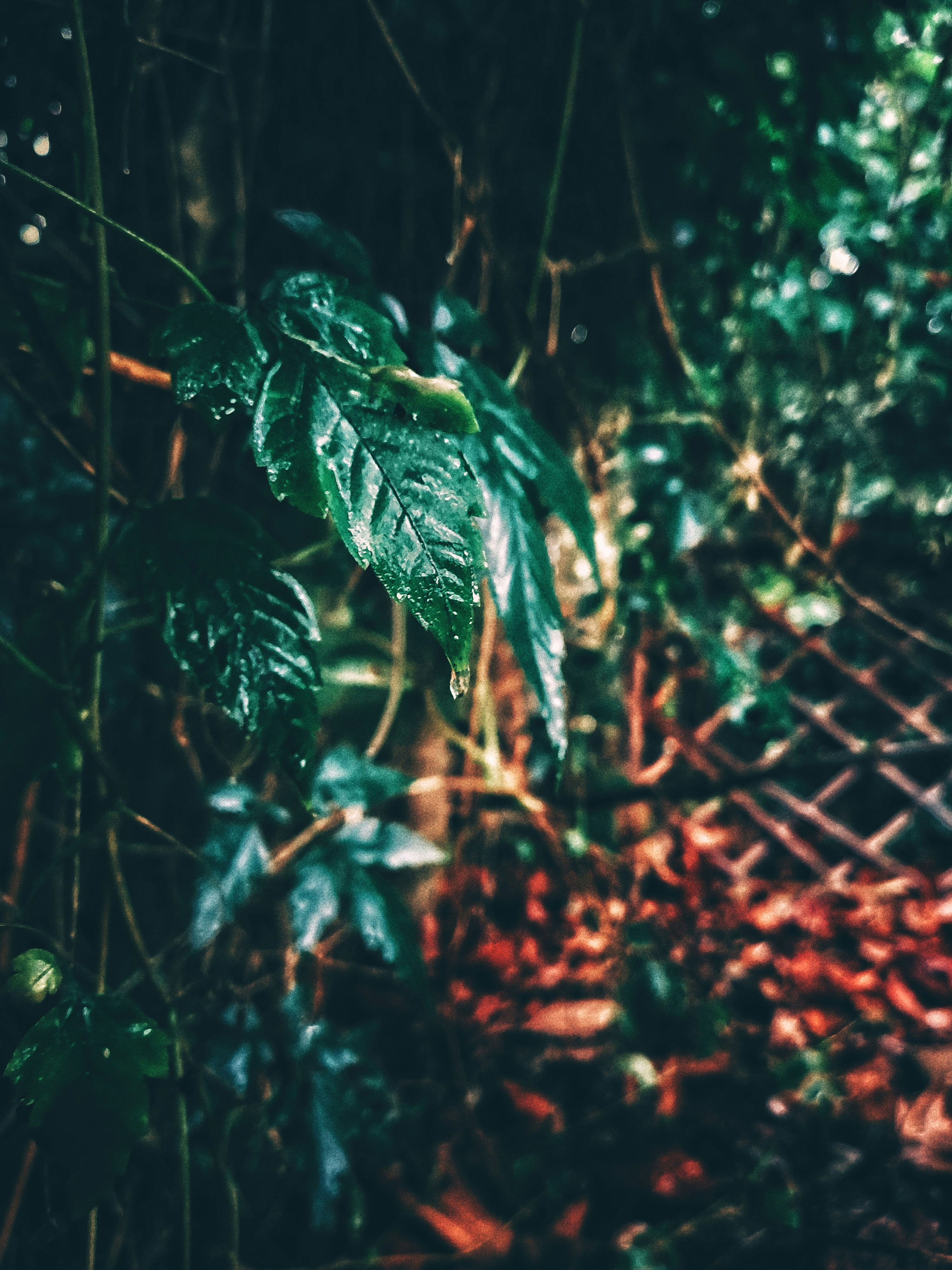 Photo by colouredmuseum