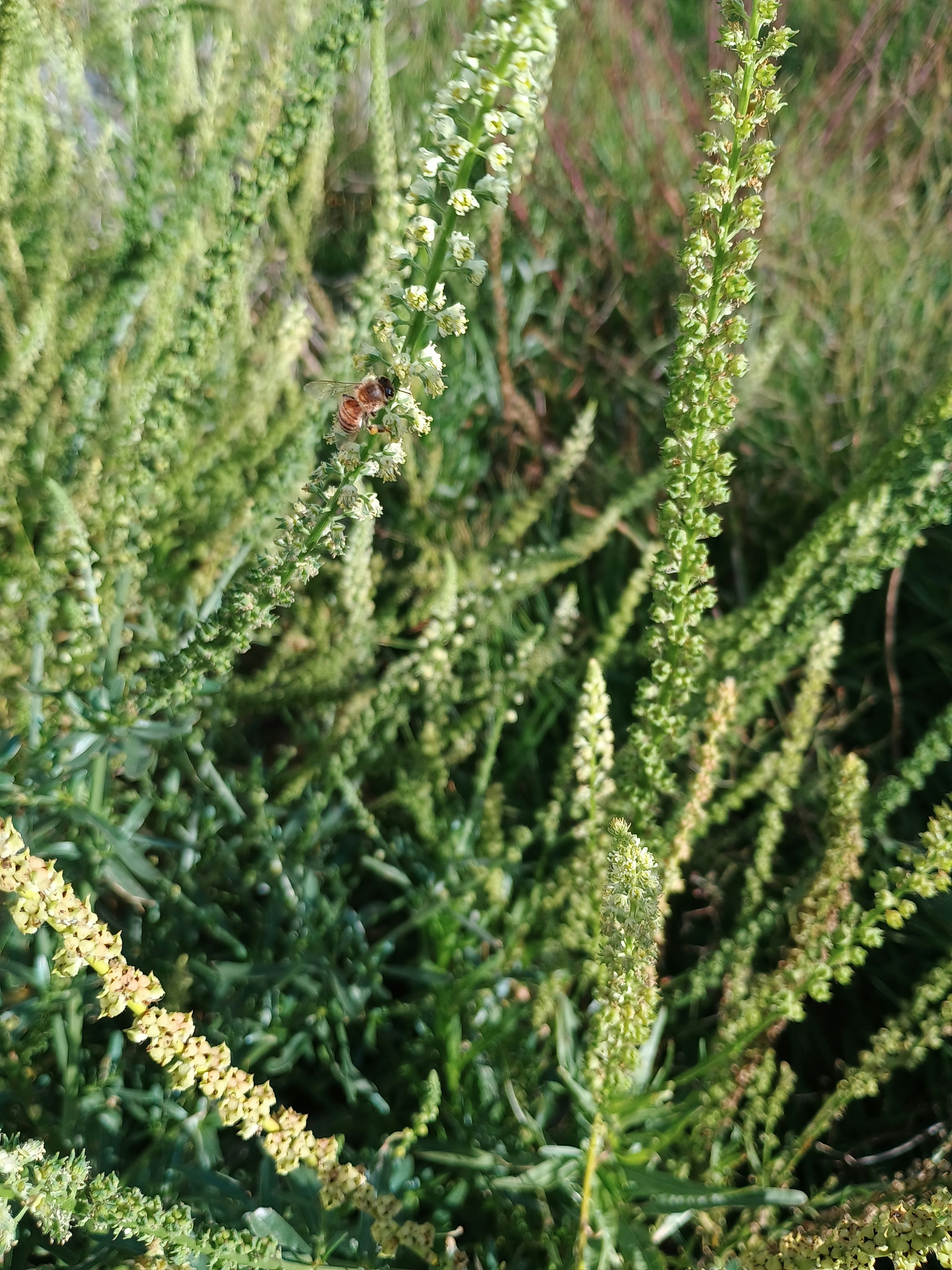 Photo by debasir1975