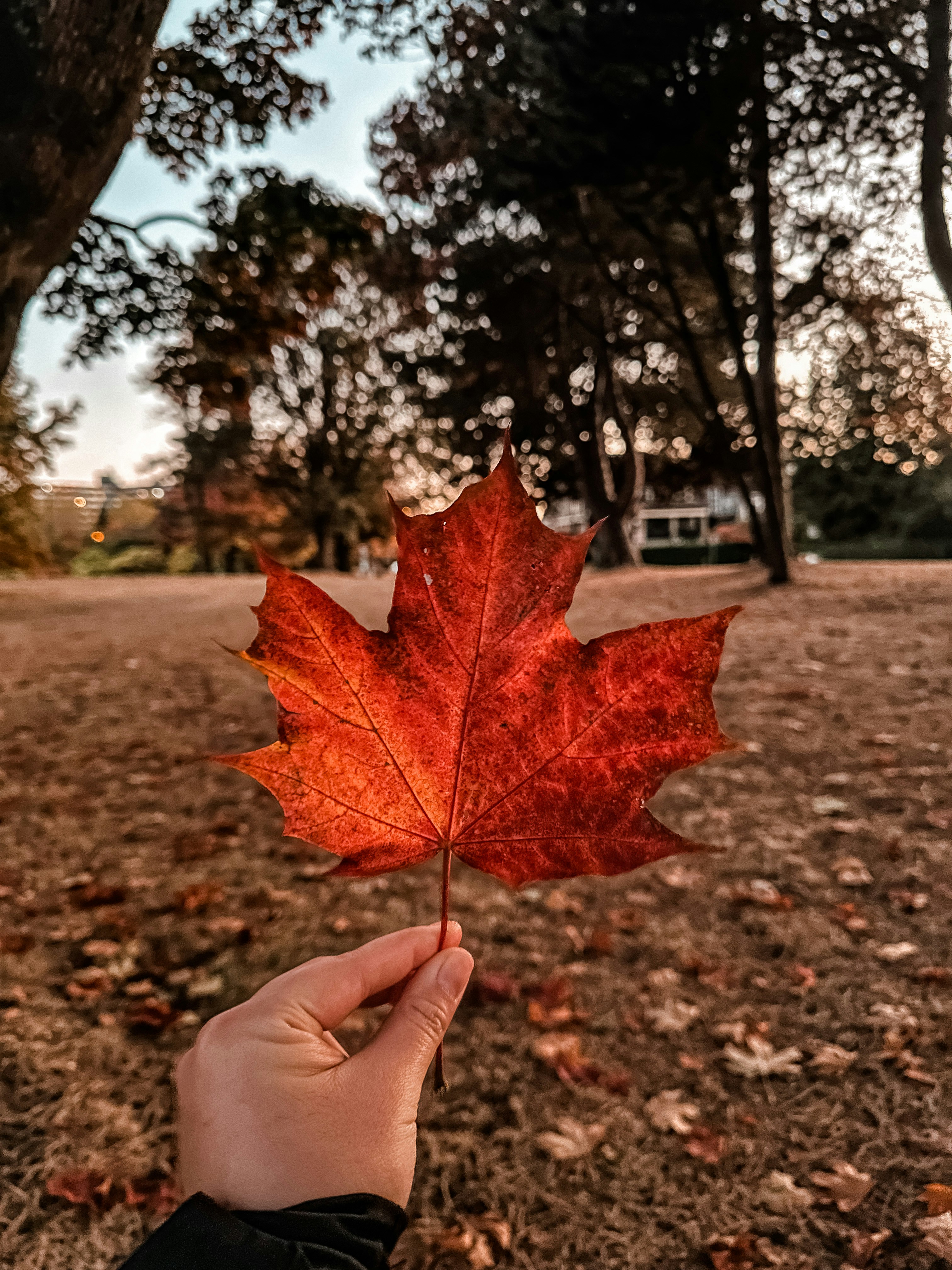 Photo by itsyan24
