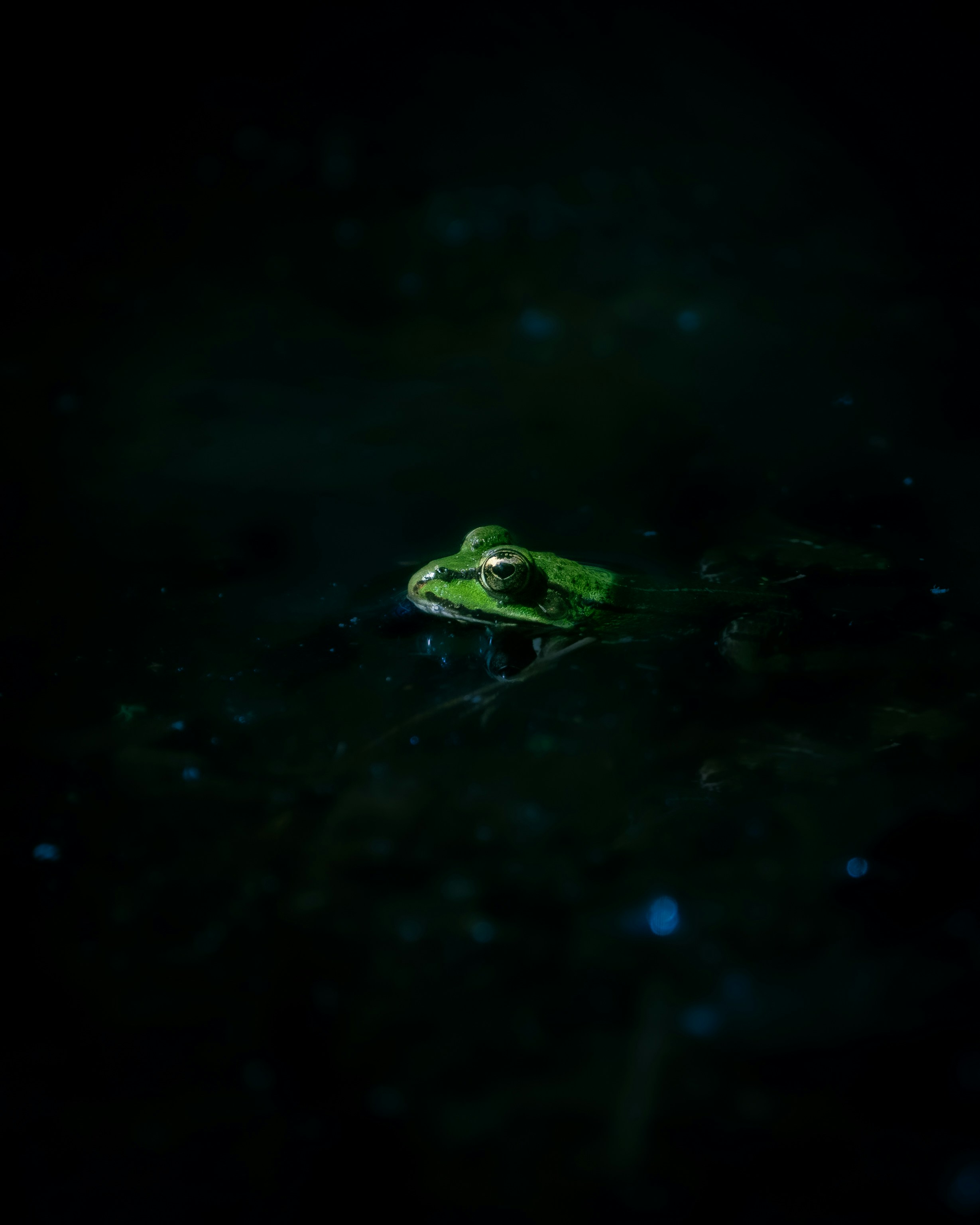 Article illustration 4