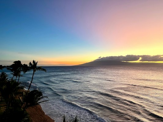 The sun is setting over the ocean with palm trees — Maui, United States