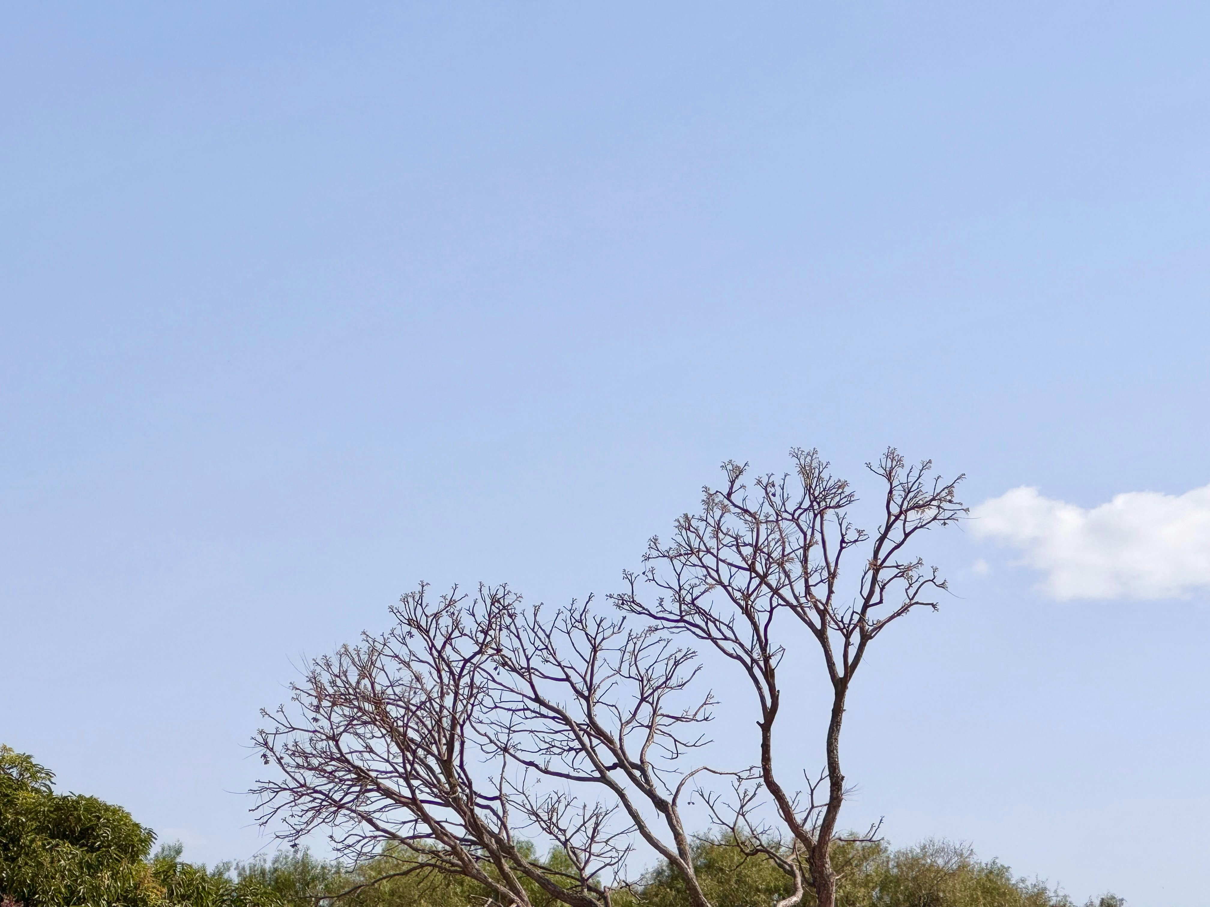 Photo by 7henrique1993