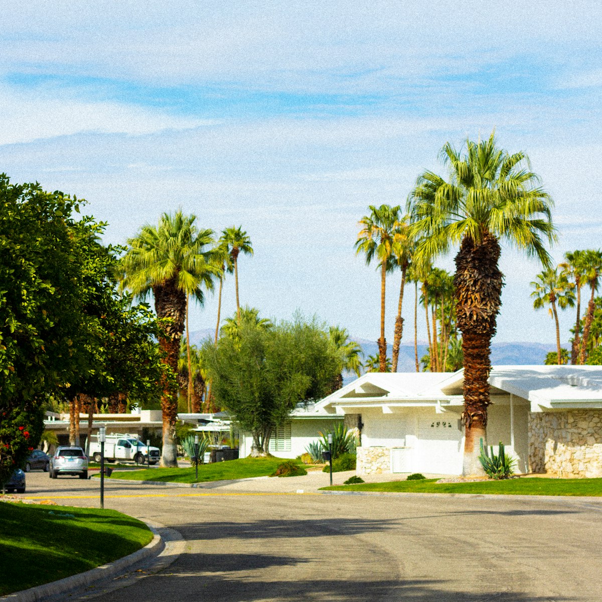 A palm-lined street with a mid-century style house